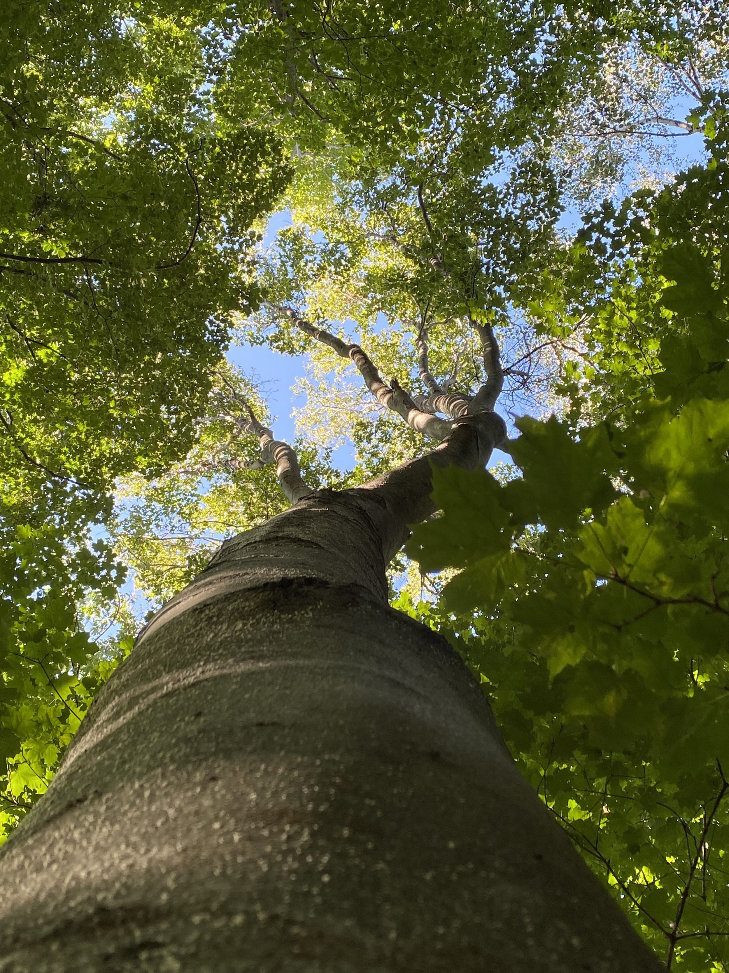 Enjoy fresh air, the gentle breeze, and memorable moments in nature.