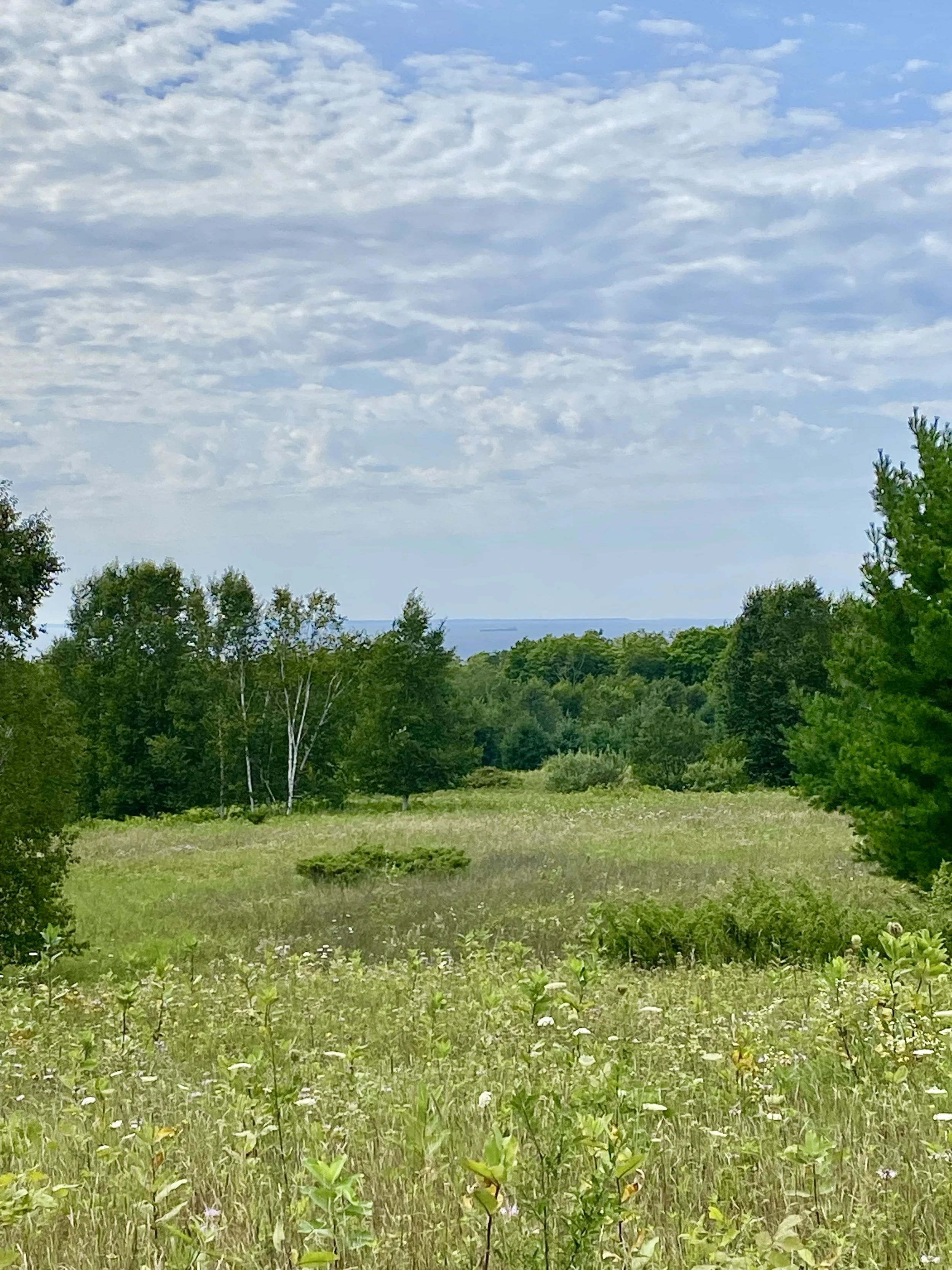 Lake view from your hike at Elmer Johnston Nature Preserve (3.1 mi away).