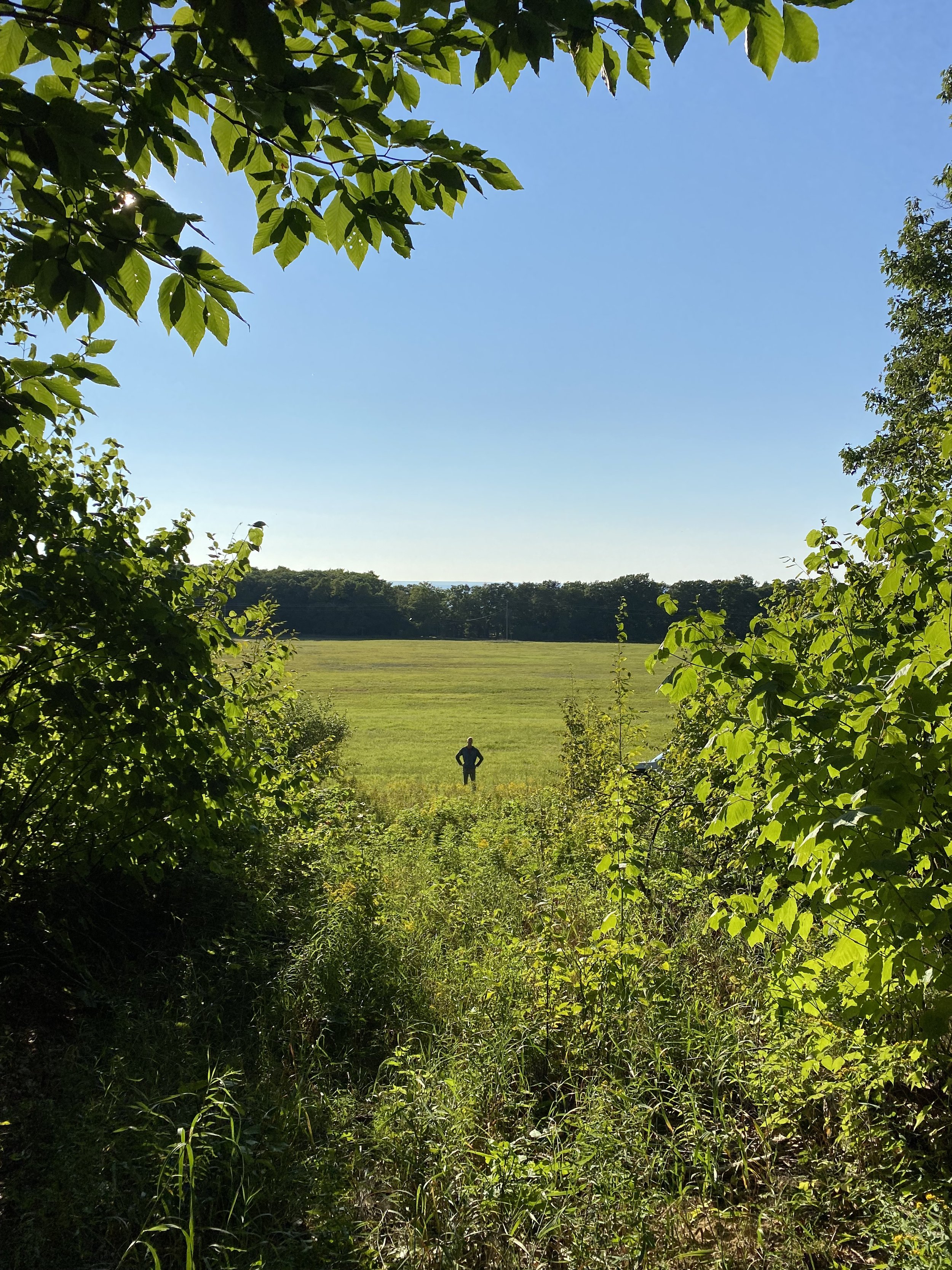View from Woody's Woods nature preserve (2.6 mi away).