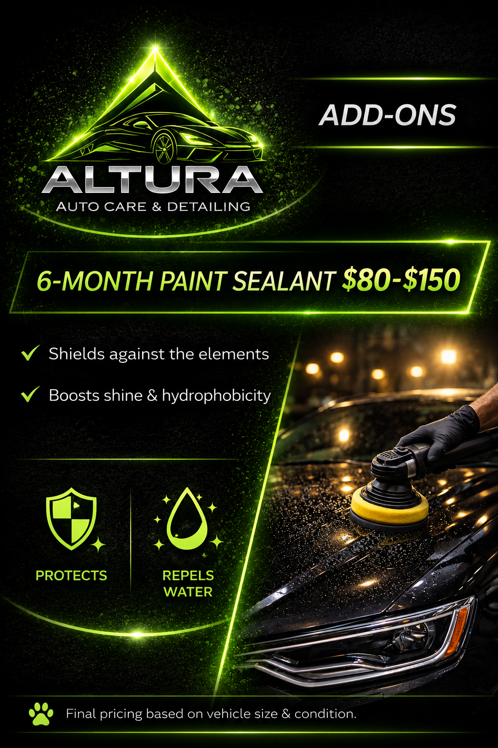 6 Month Paint Sealant