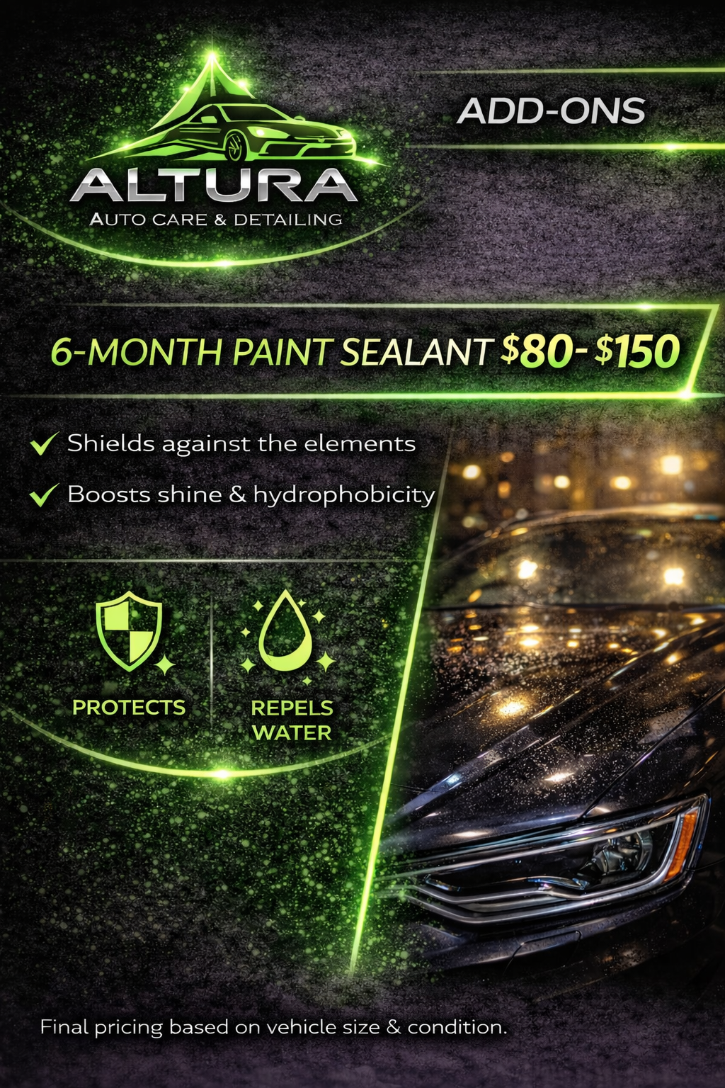 6 Month Paint Sealant