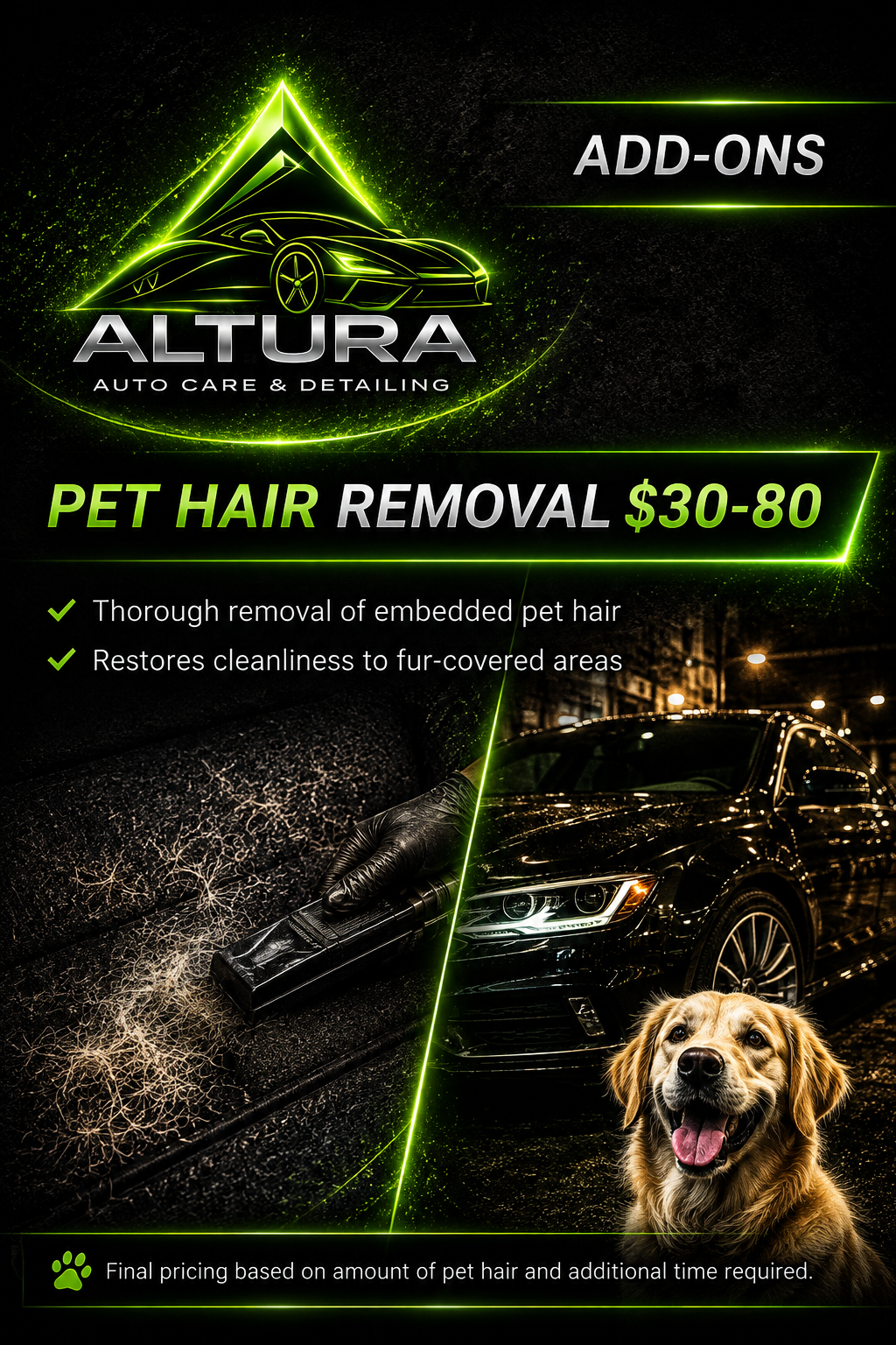 Pet Hair Removal