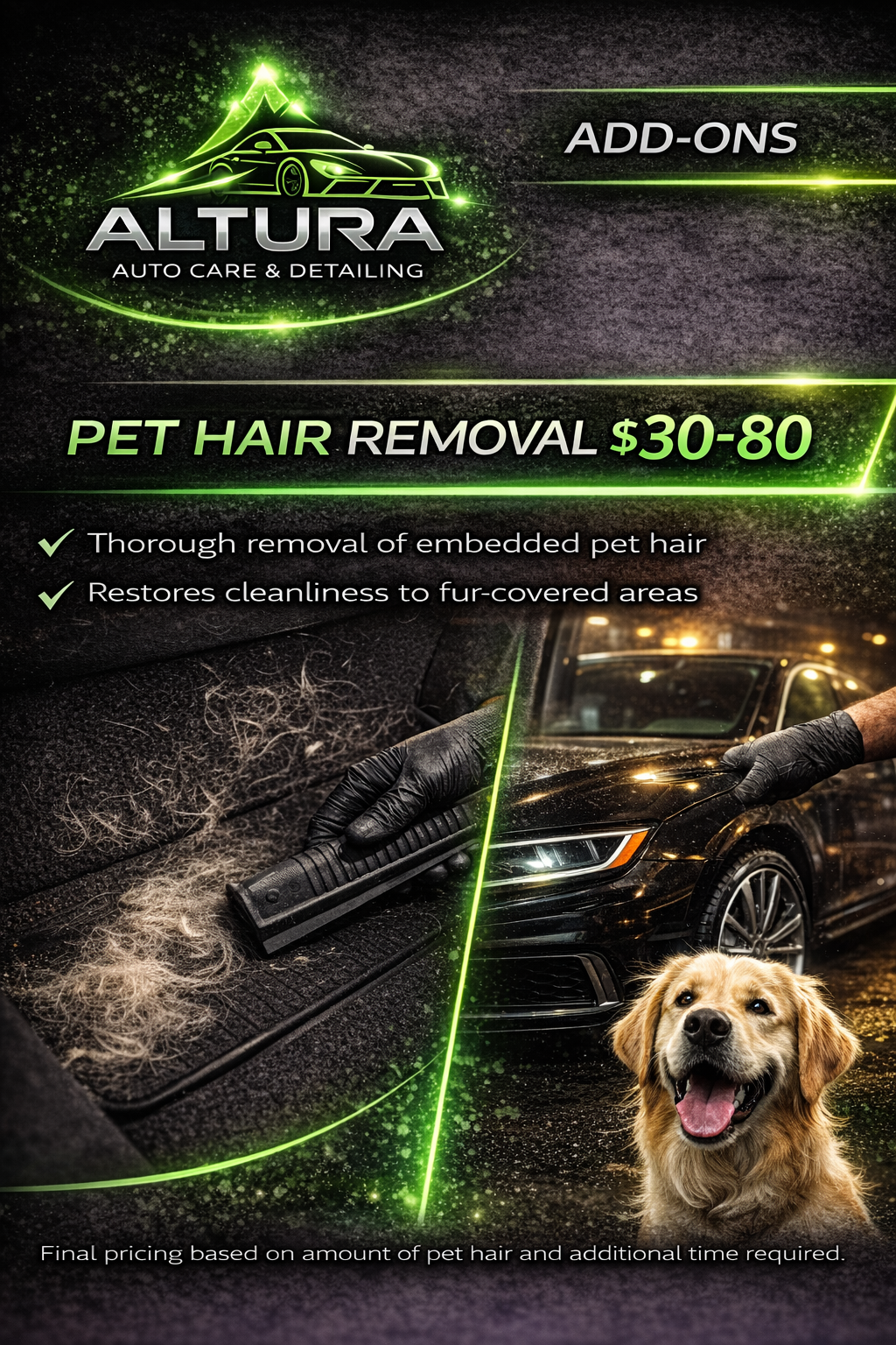 Pet Hair Removal