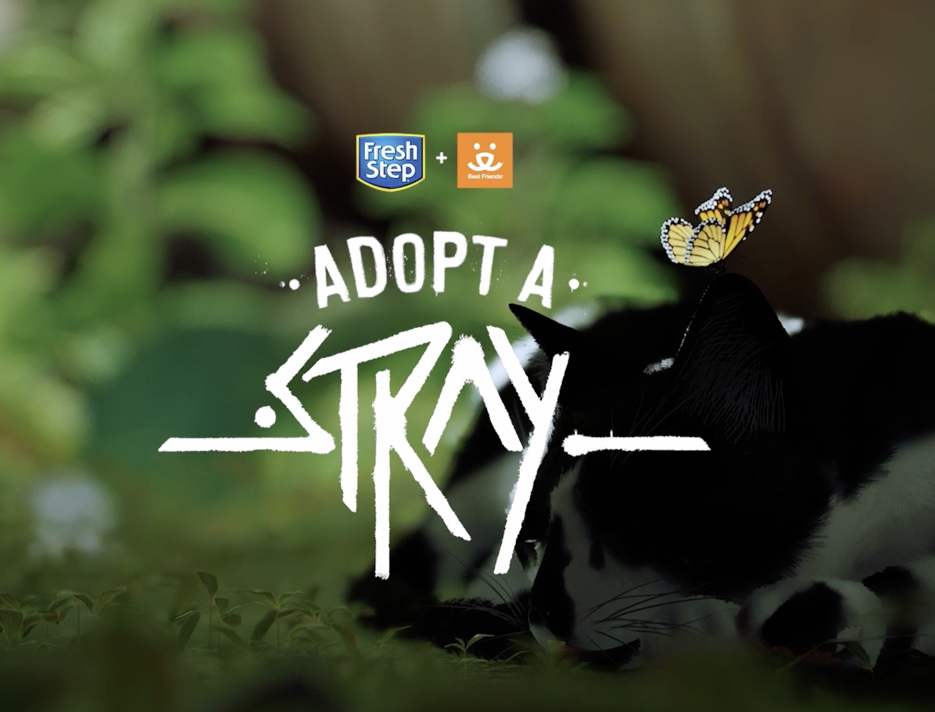 Screenshot 2026-02-18 at 1.50.33 PM.png