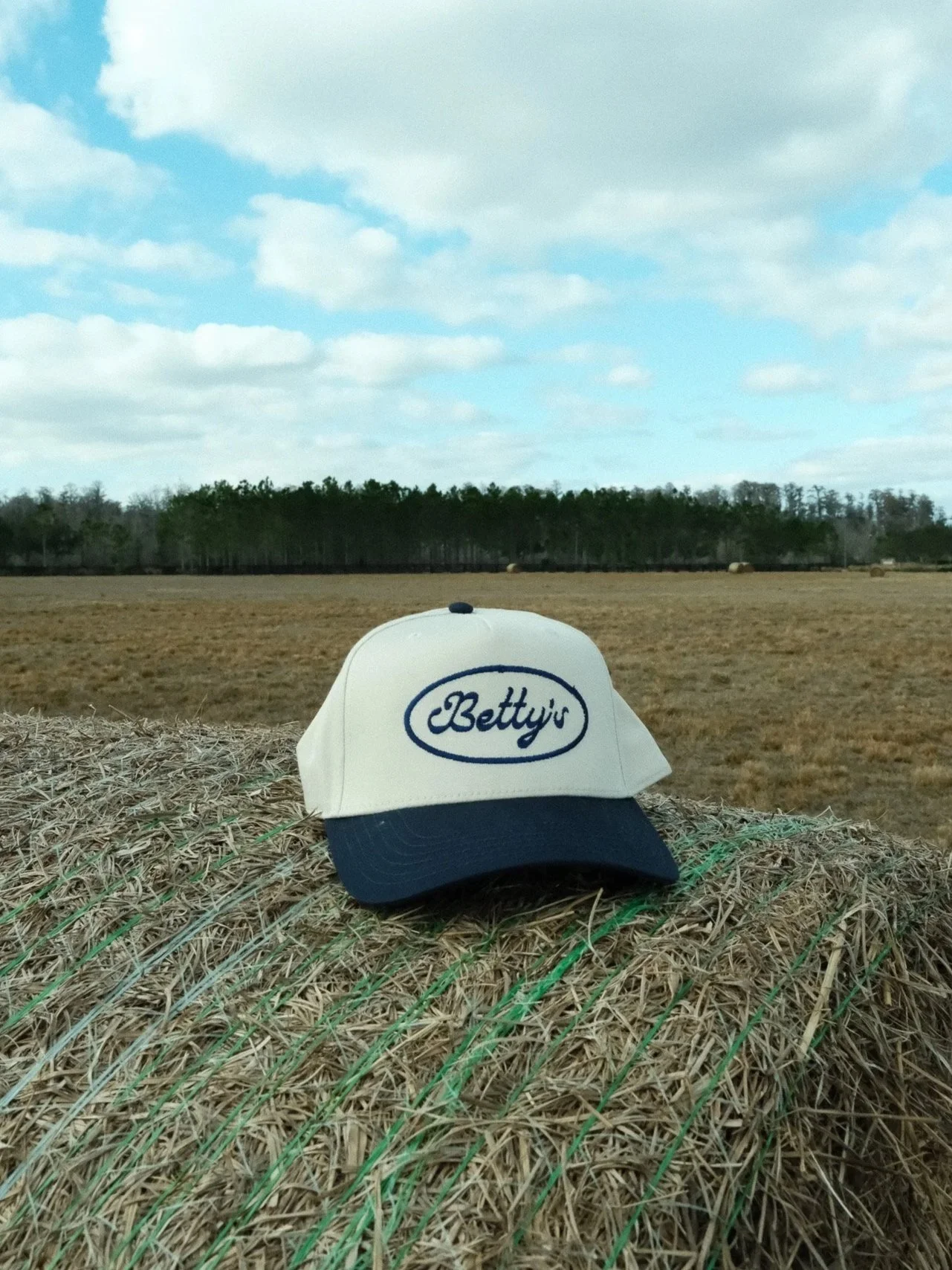 Navy & Natural Embroidered Logo Hat