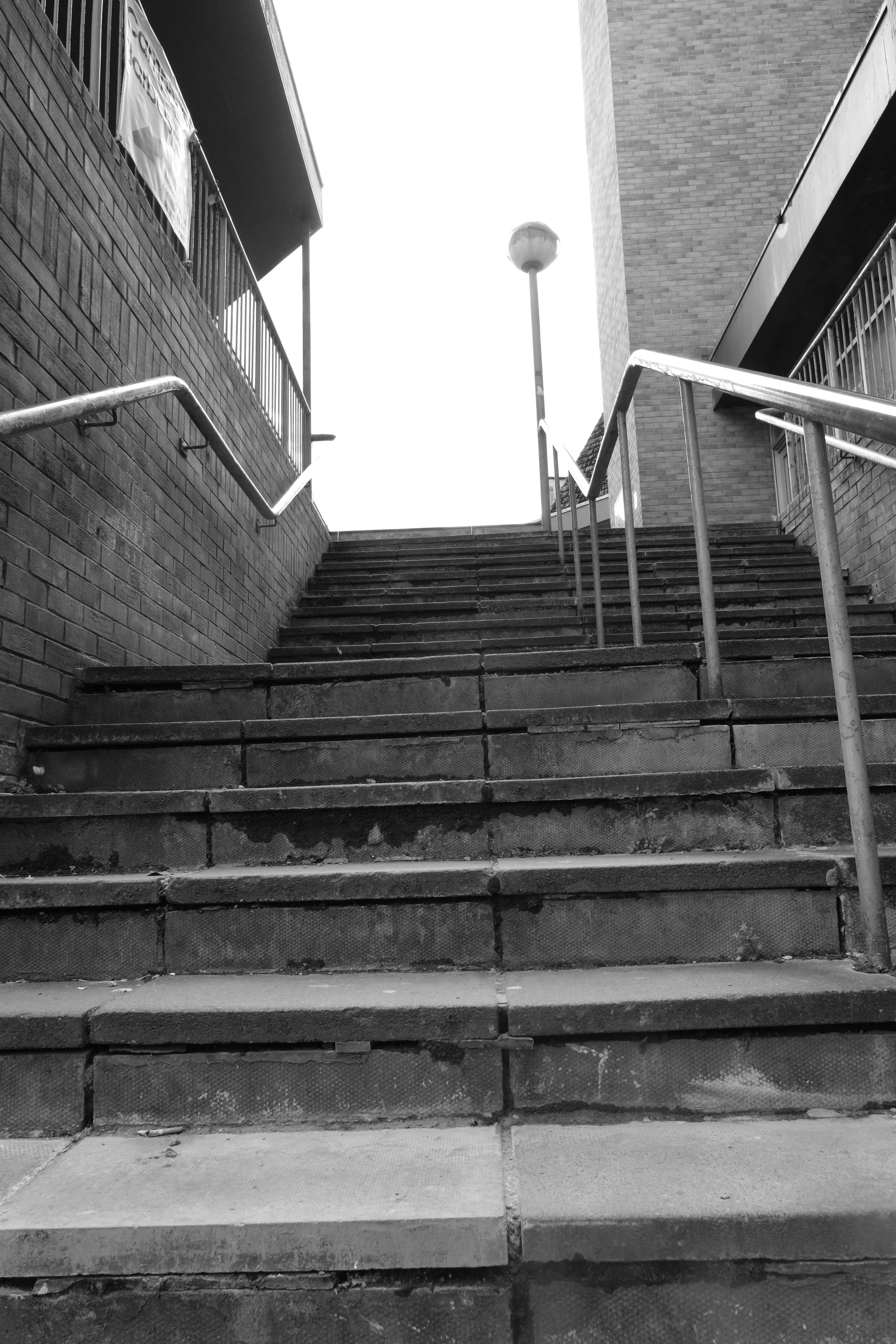 DSCF6894.JPG