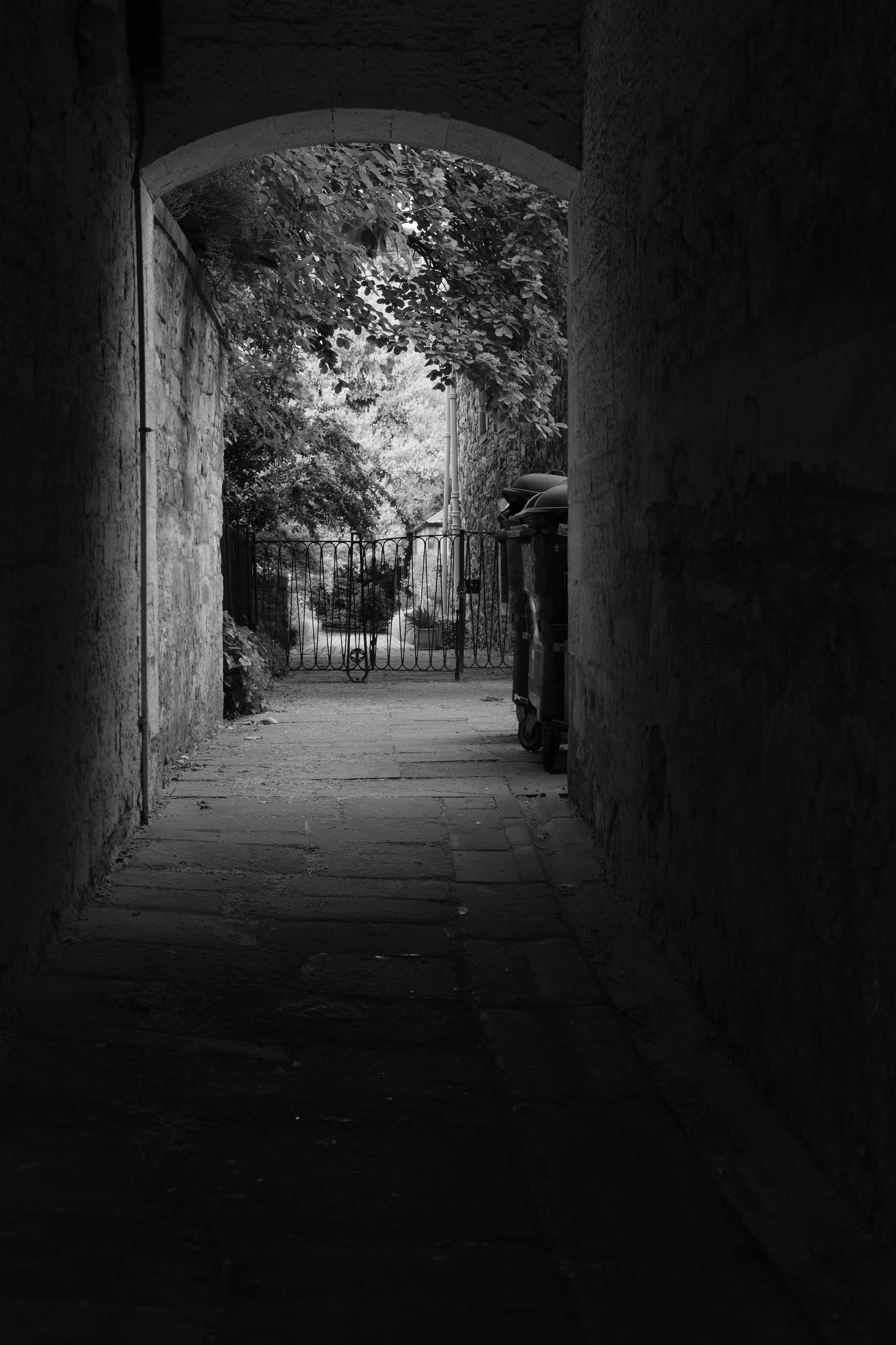 DSCF8219.JPG