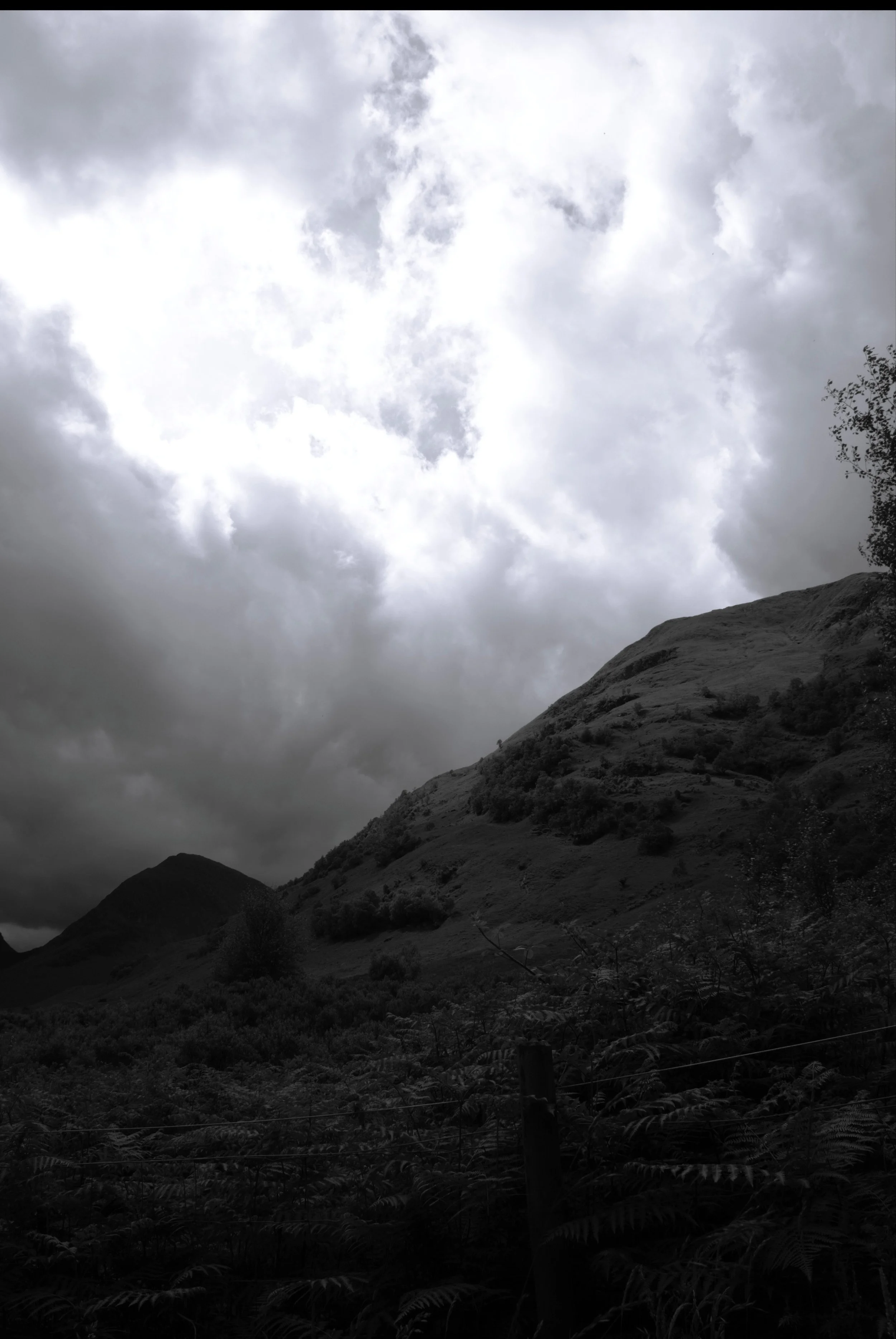 Where Silence Lives