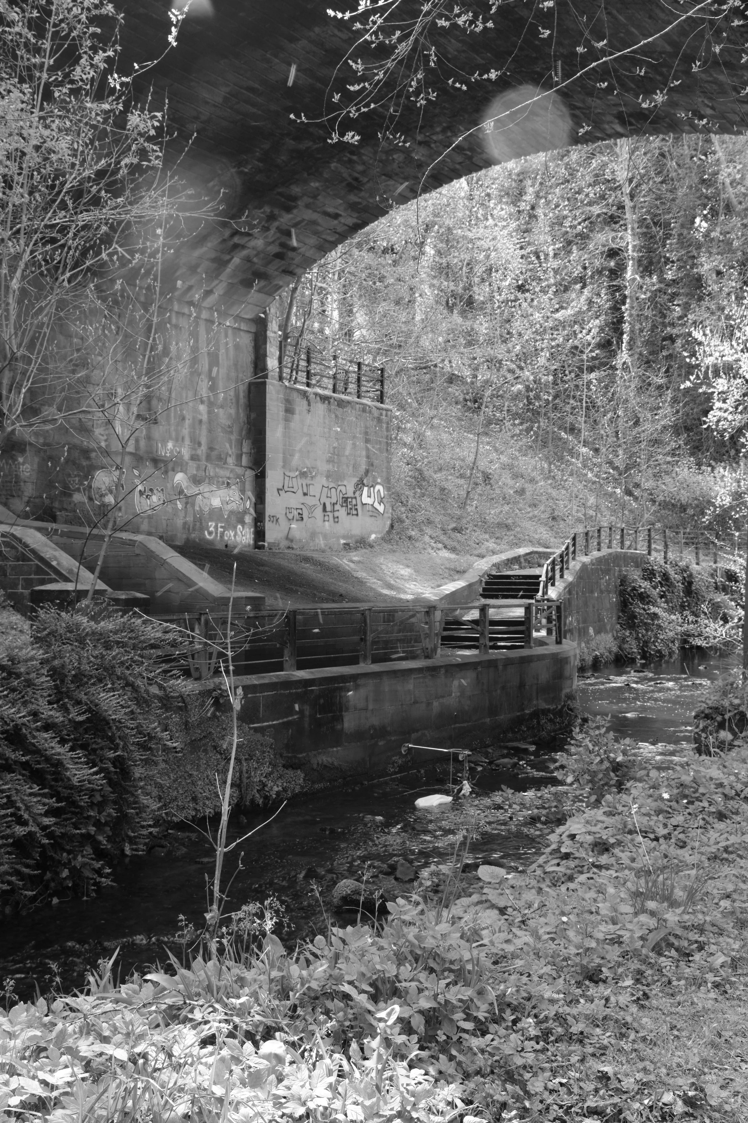 DSCF6863.JPG
