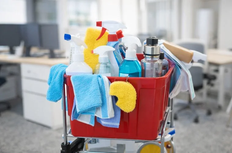 Cleaning Supplies in a bucket