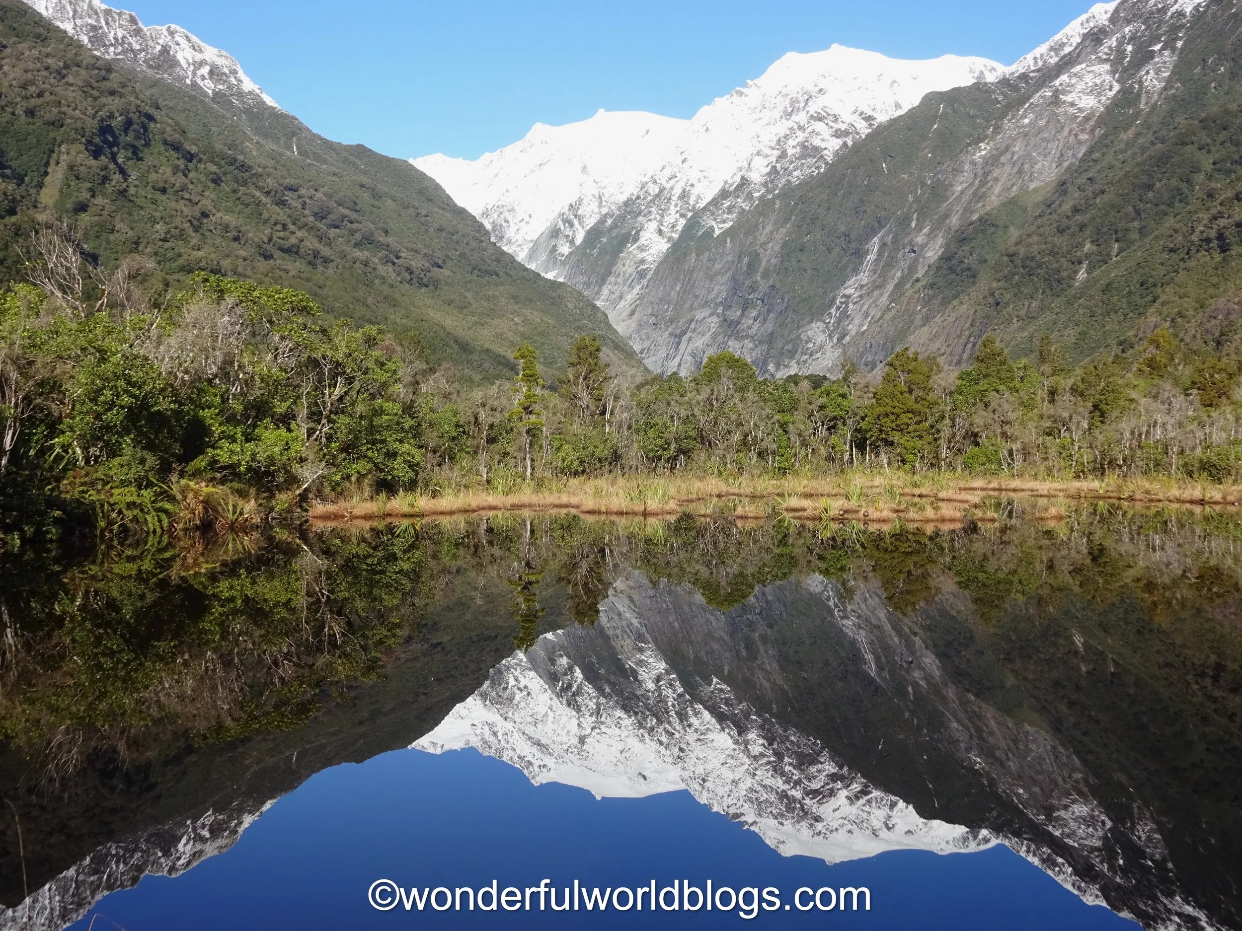 Frans Josef Glacier South Island New Zealand