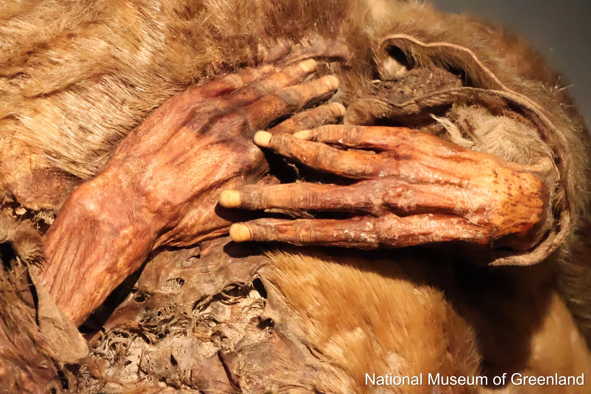 Qilakitsoq Mummies National Museum of Greenland Nuuk