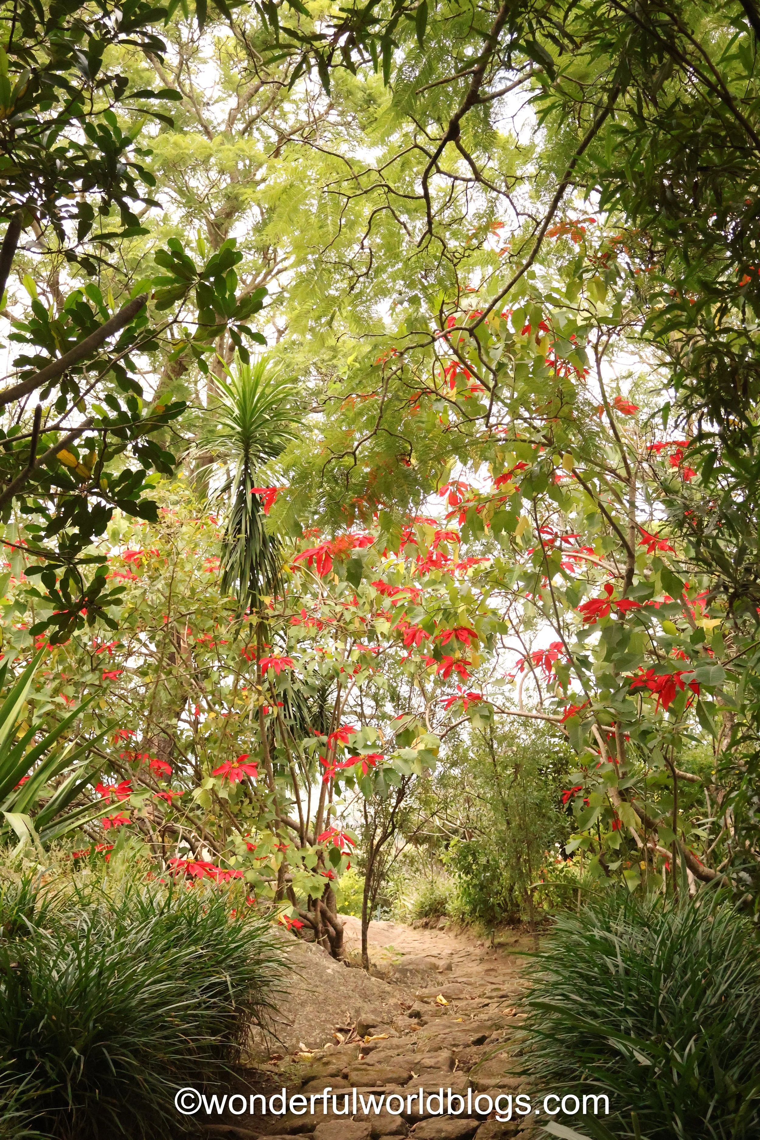 Gardens in Antananarivo Madagascar