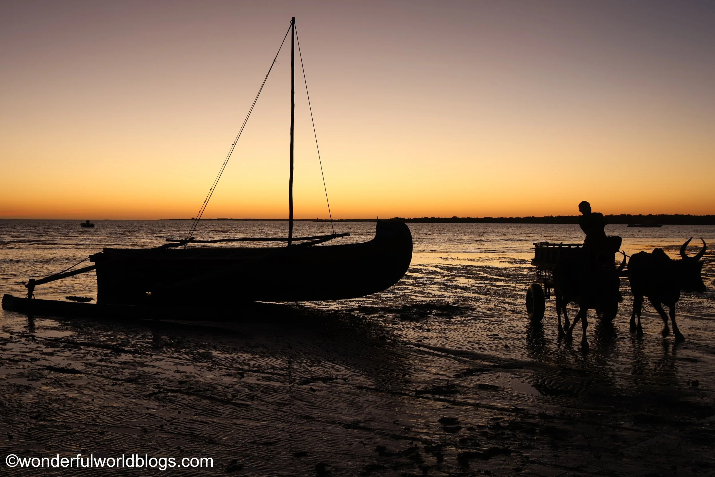 Boat and zebu cart on Madagascar beach at sunset
