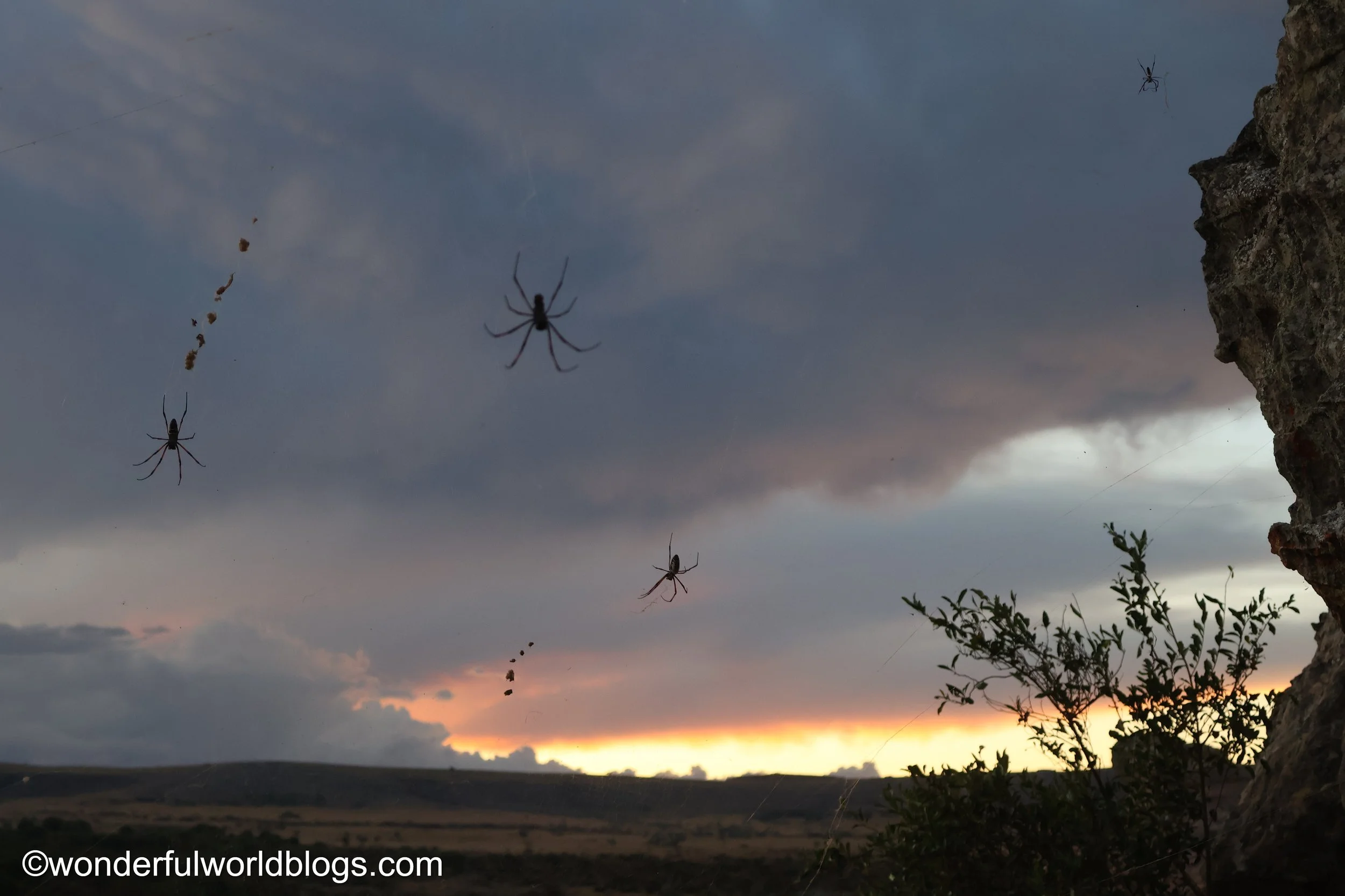 Sunset with spiders in Madagascar landscape