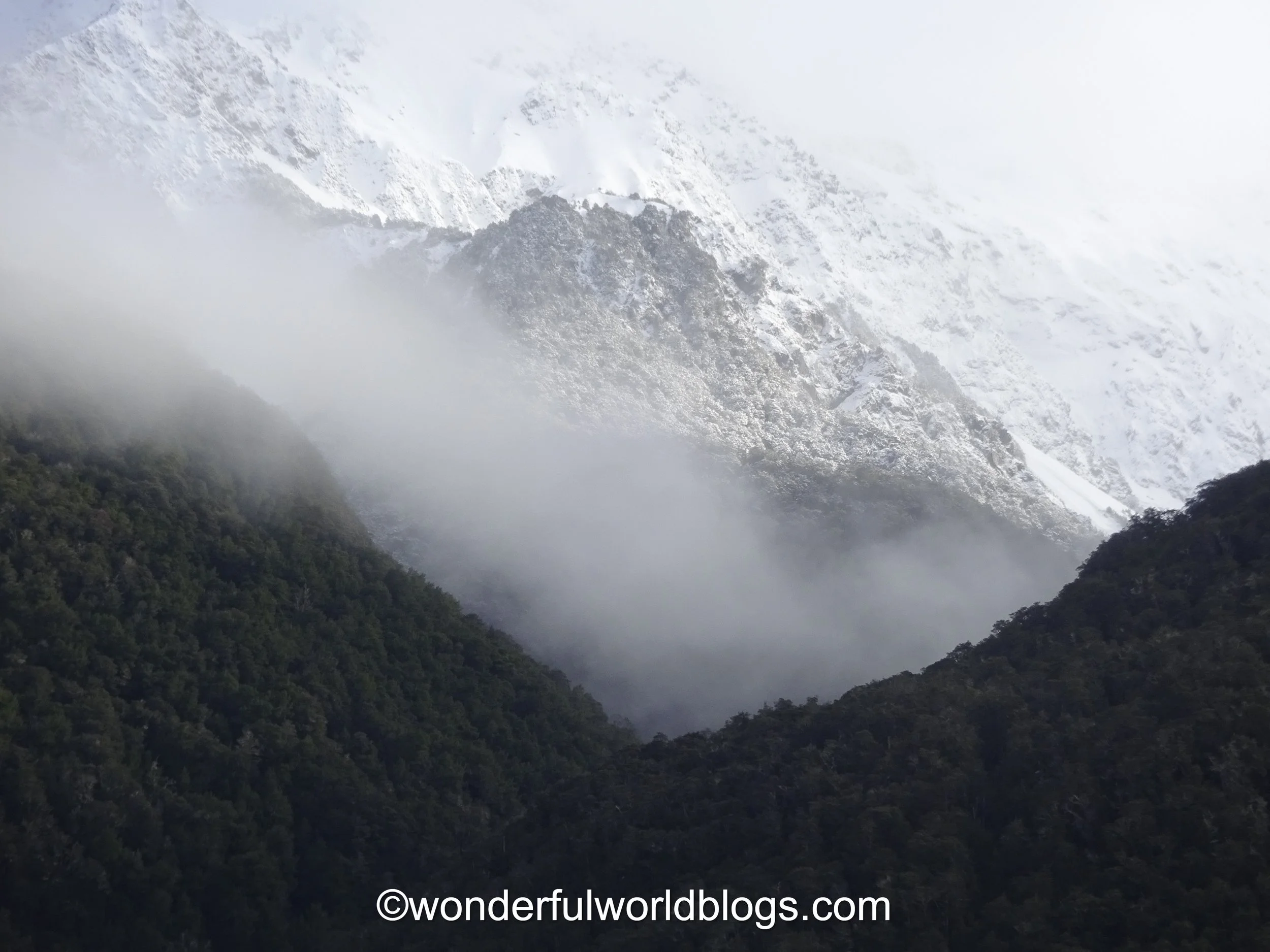 View from the window of the Trans Alpine Express South Island New Zealand