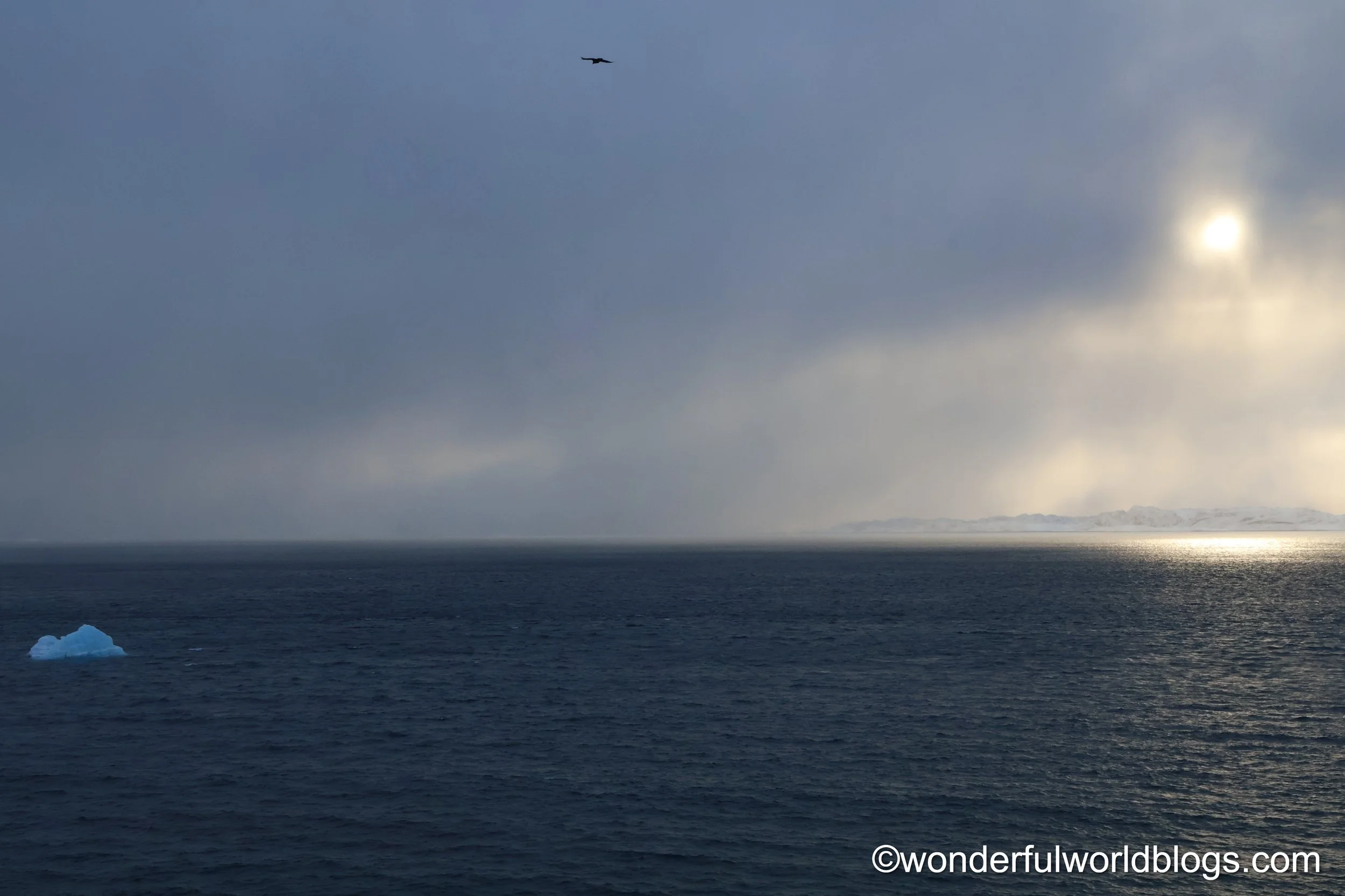 Nuuk fjord at sunset with bird and iceberg Greenland