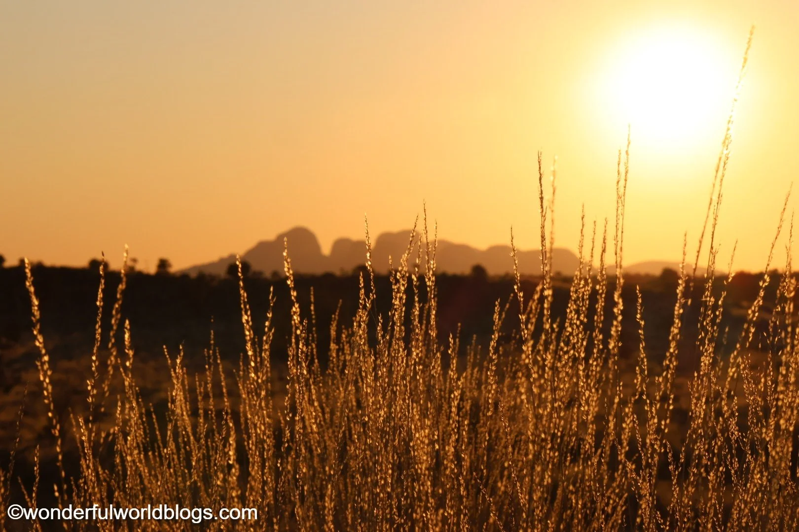 Uluru Ayers Rock Australia at dawn