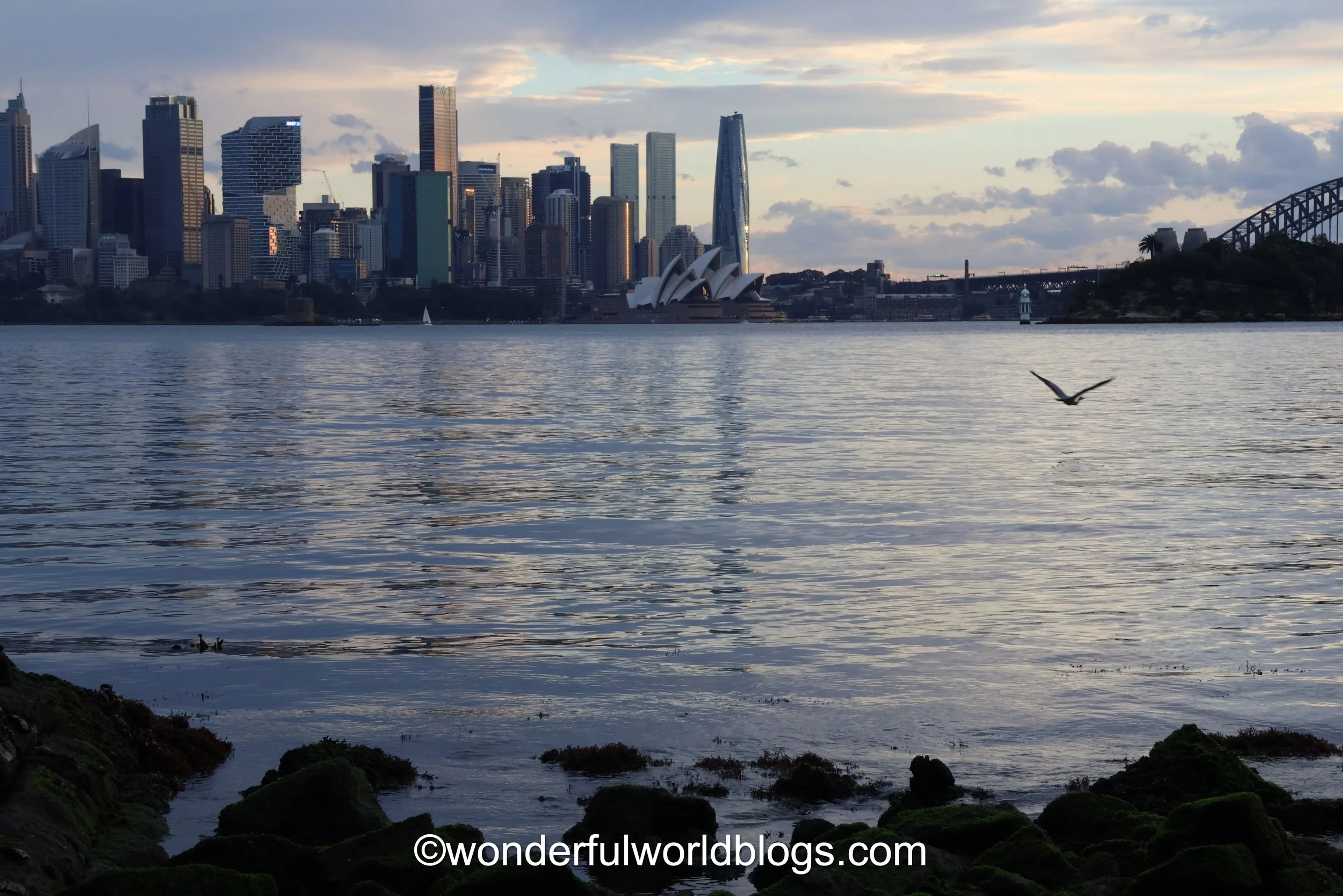 View across Sydney Harbour Australia