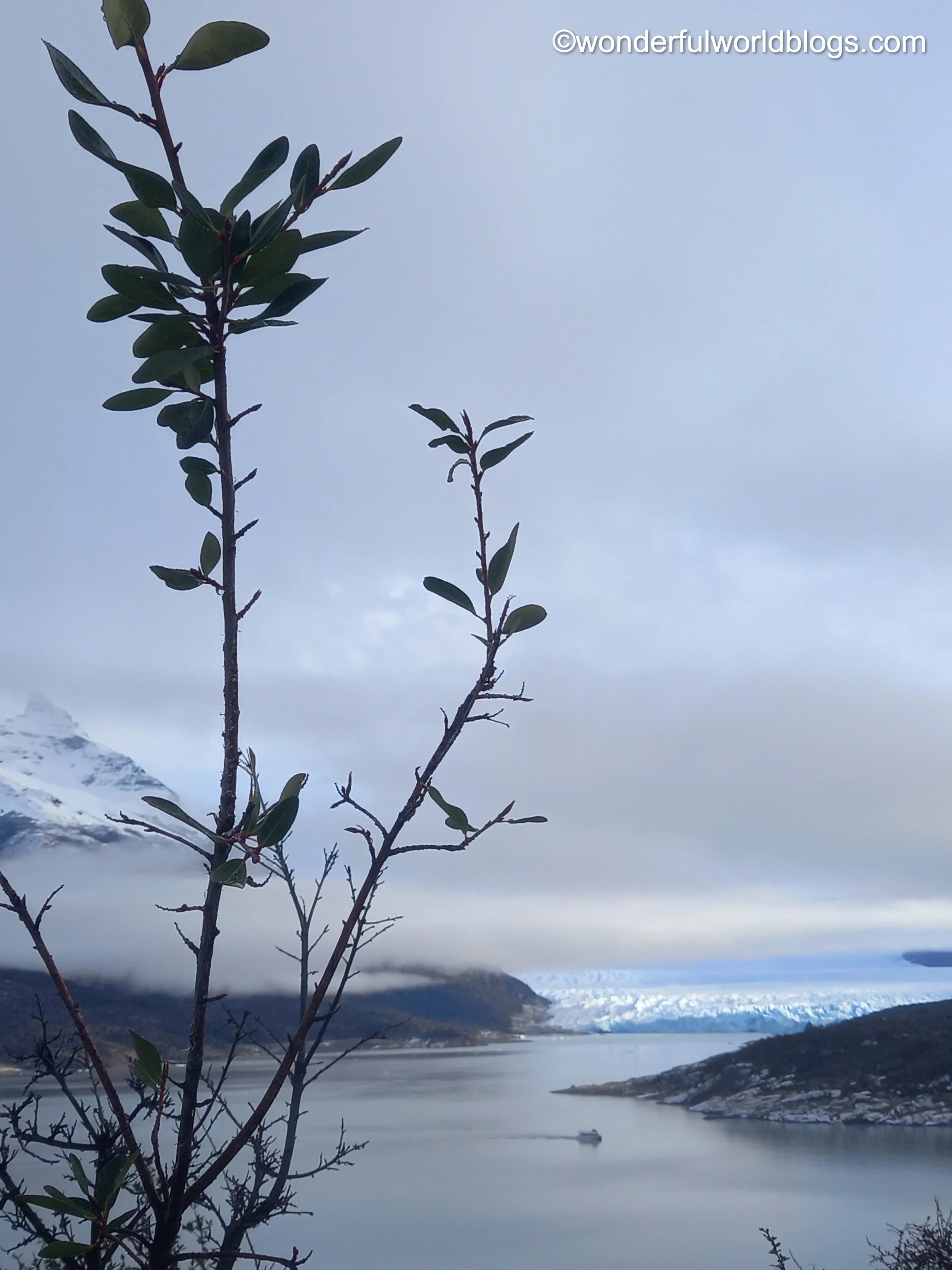 View of Perito Moreno Glacier in the distance Patagonia