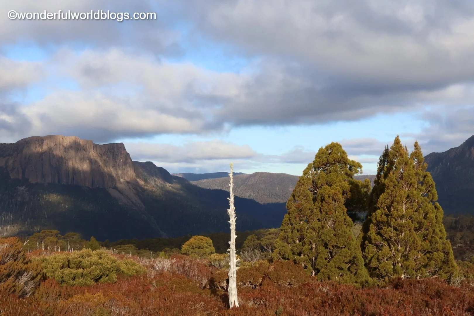 View on Overland Track Tasmania Australia
