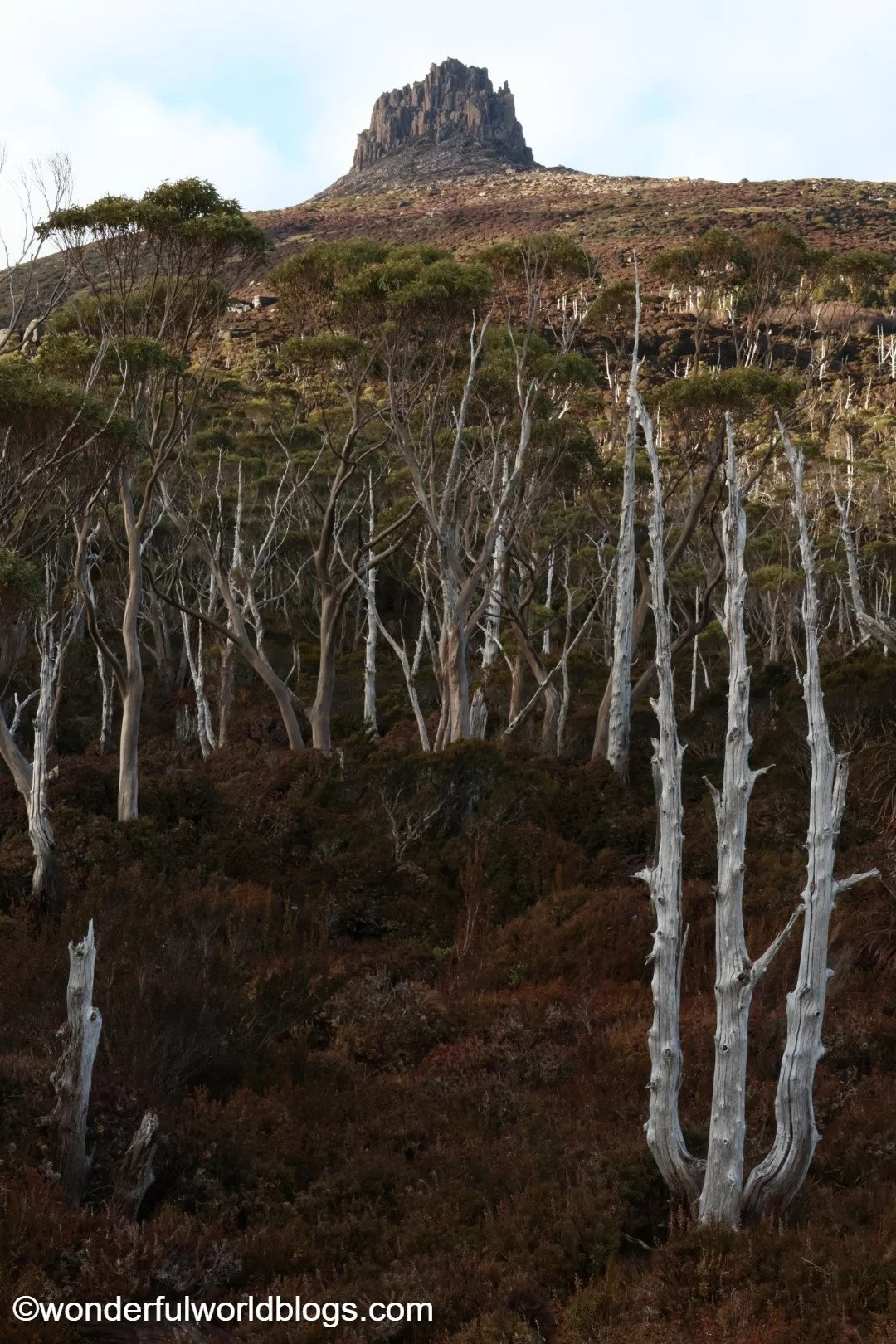 Landscape on Overland Track in Tasmania Australia