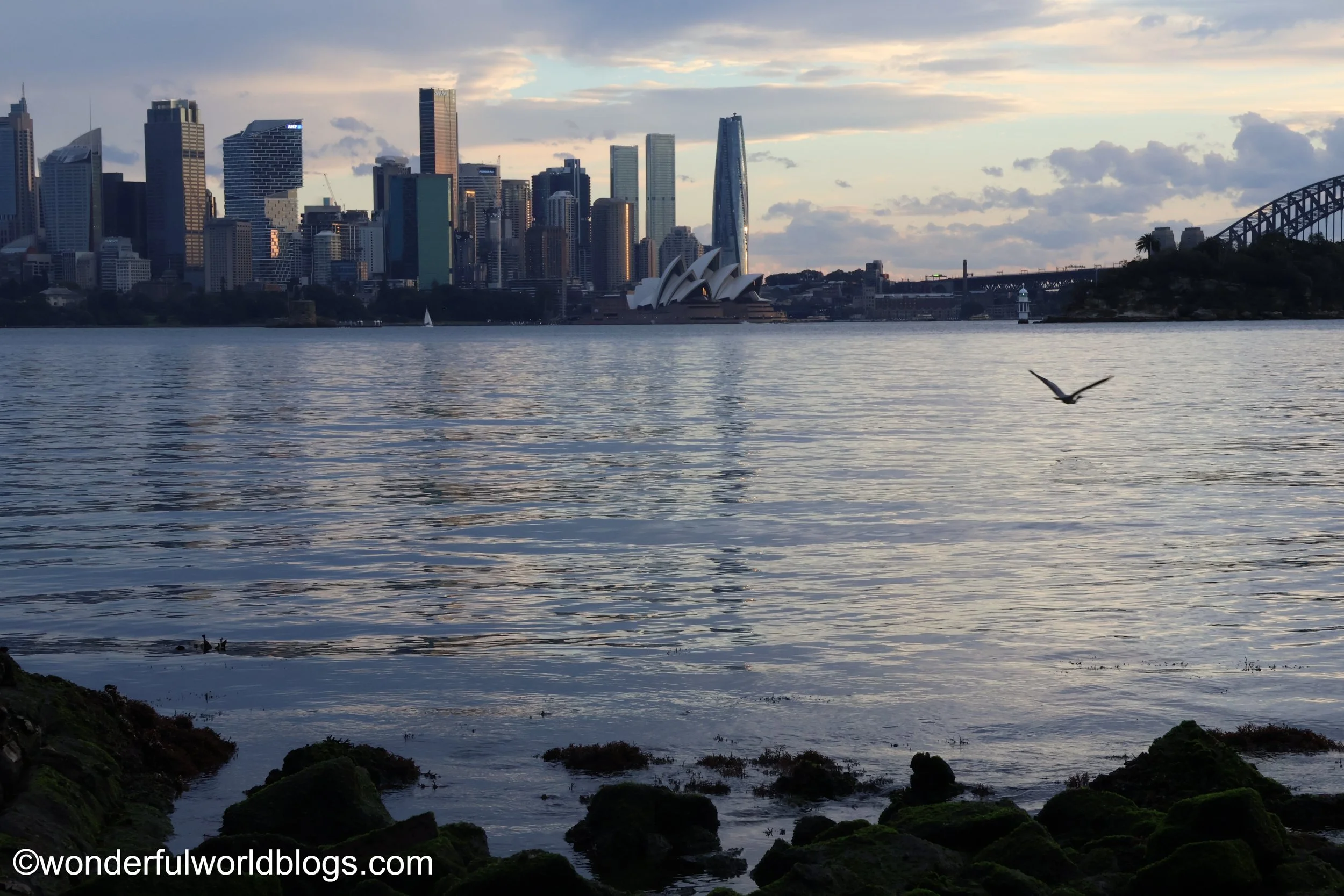 View across Sydney Harbour Australia