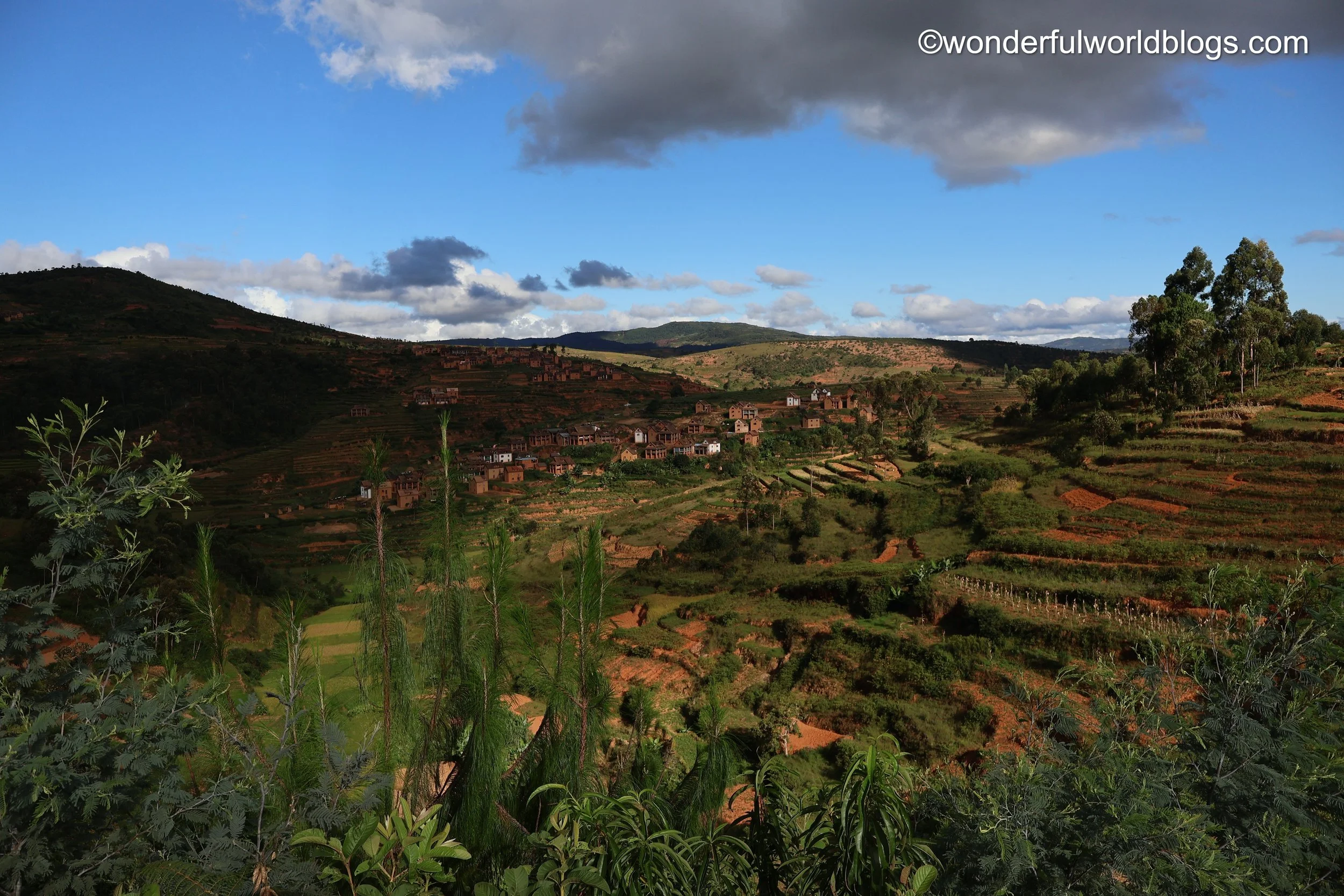 Lush Madagascar landscape