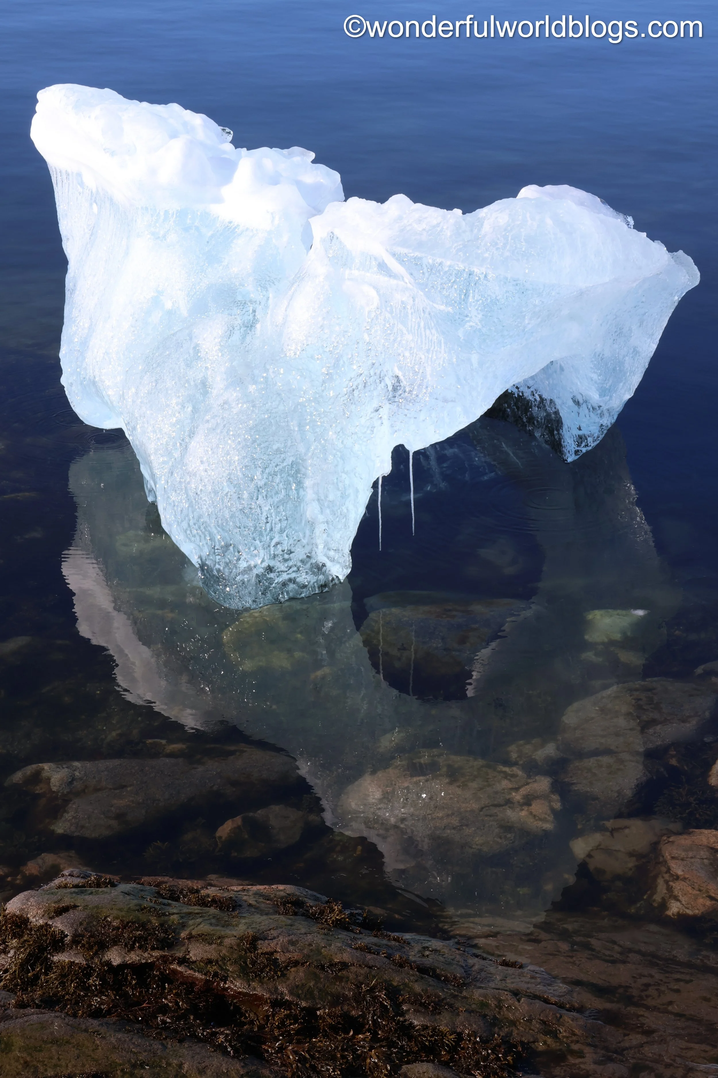 Iceberg and reflection Greenland