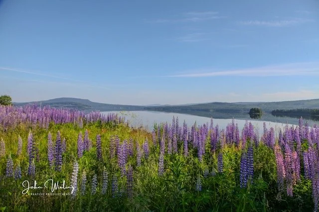 Praktische stappen voor een leven in Zweden