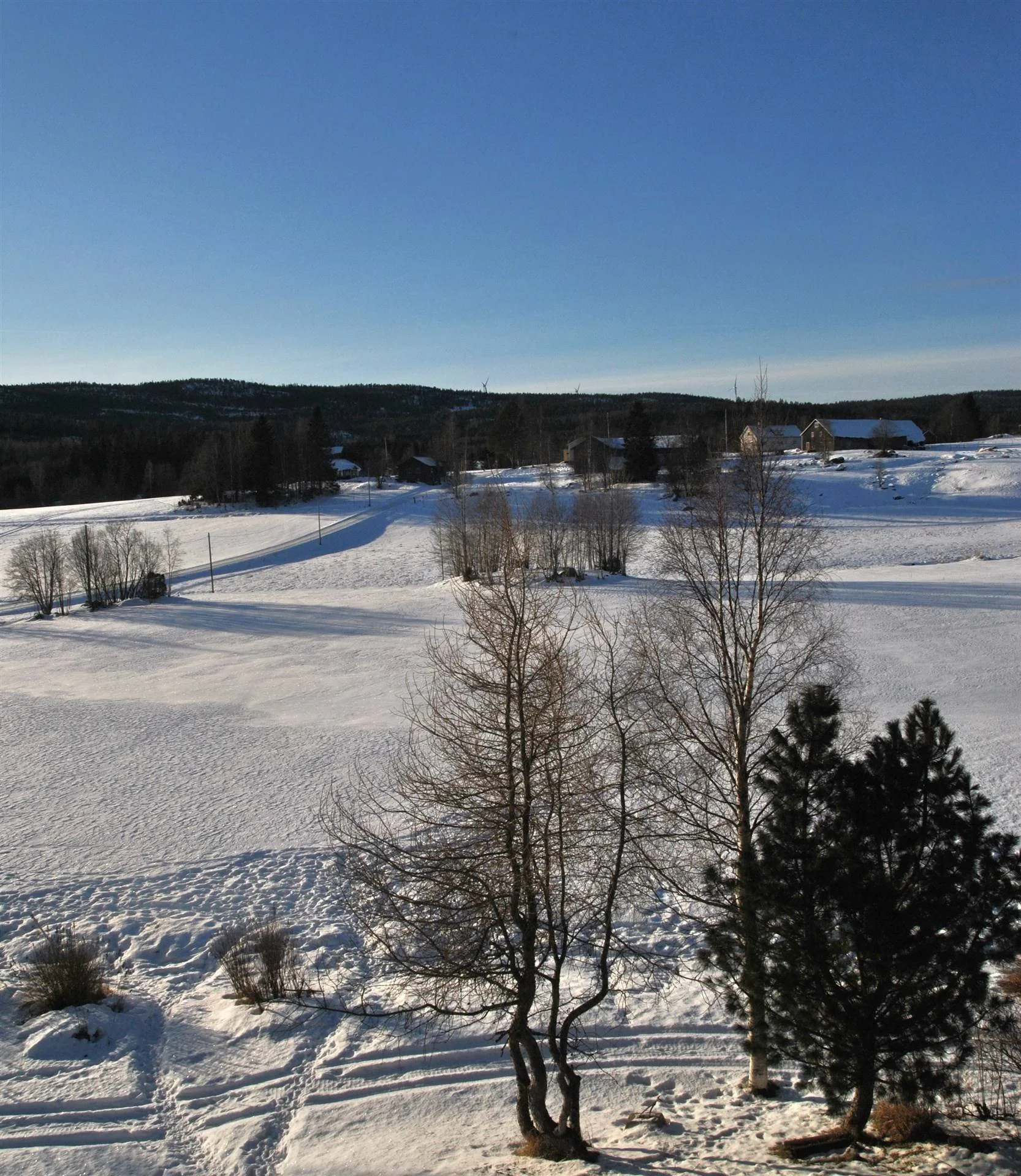 41 Bäckland 123 Ramvik.jpg