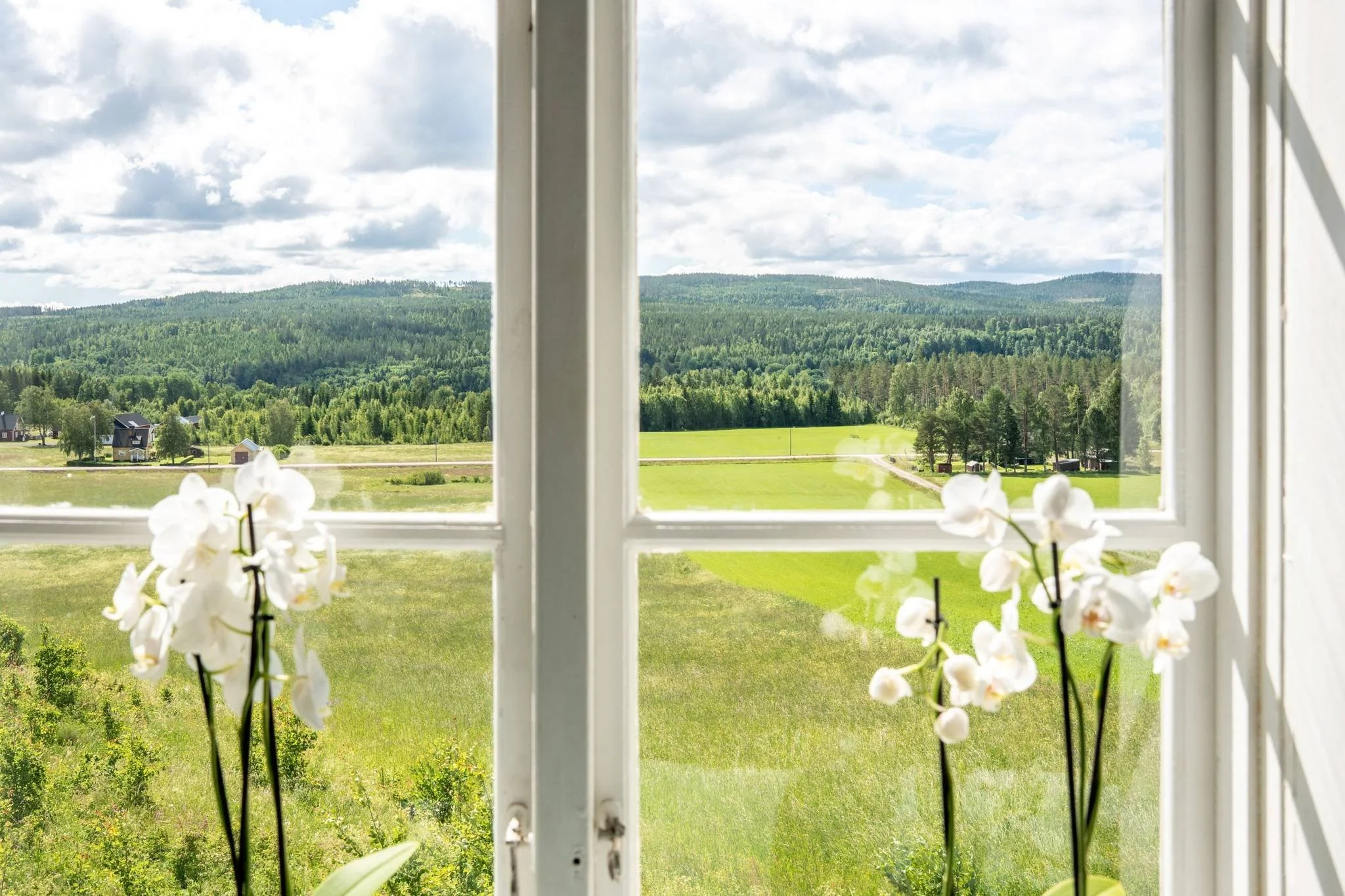 25 Sångal 206 Sollefteå.jpg