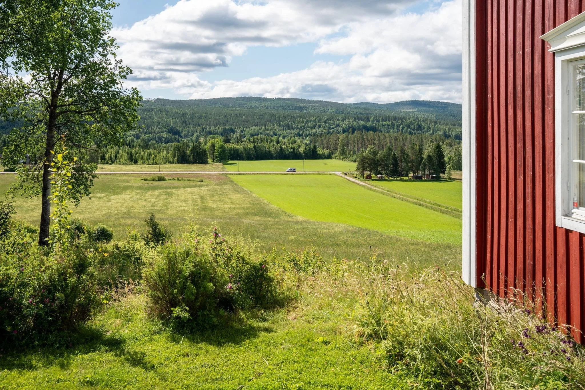 46 Sångal 206 Sollefteå.jpg