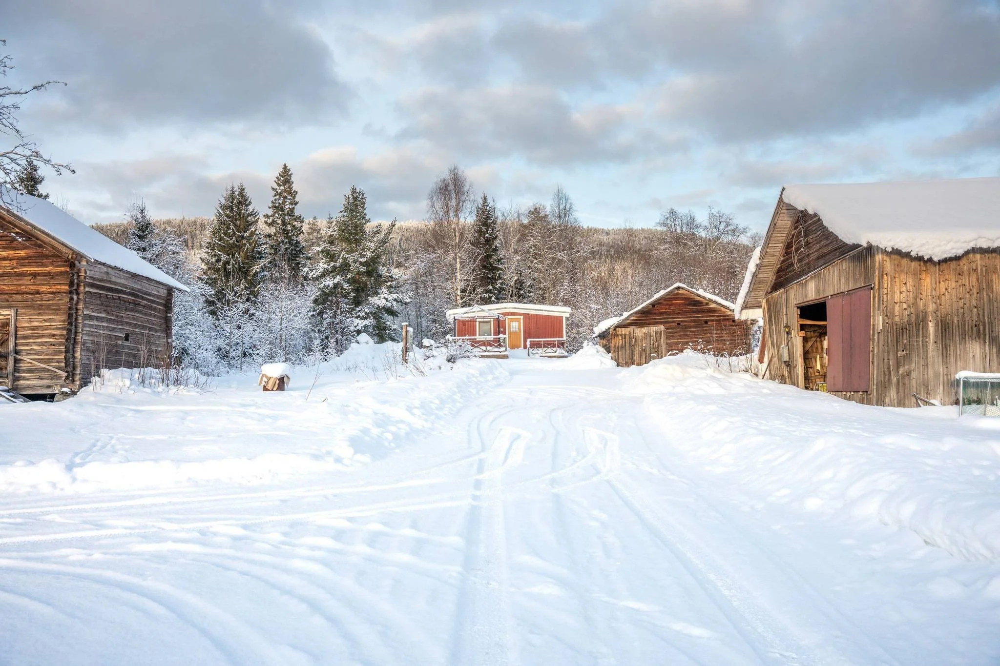 08 Sångal 206 Sollefteå.jpg