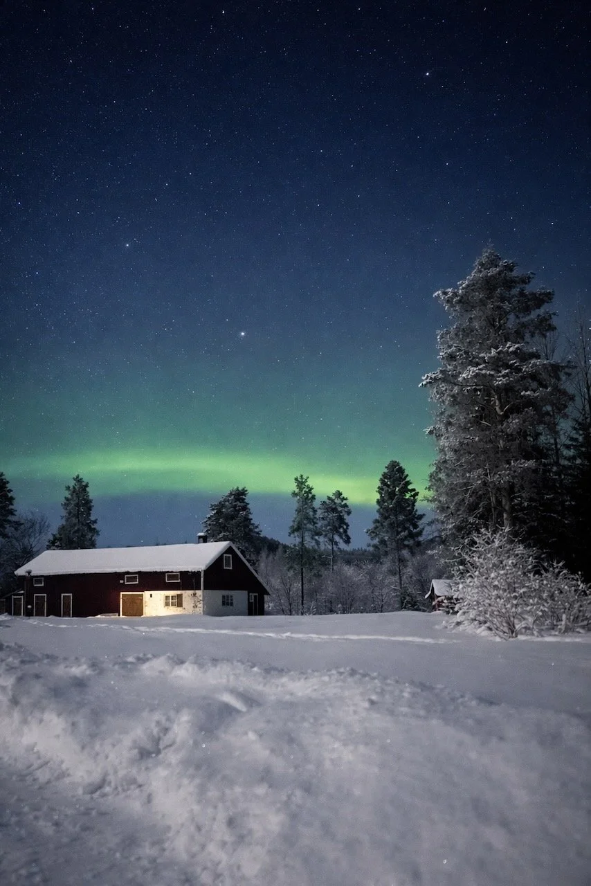 Noorderlicht boven een Zweedse woning in de regio Sollefteå, Ångermanland – wonen en emigreren naar Noord-Zweden in winterse natuur
