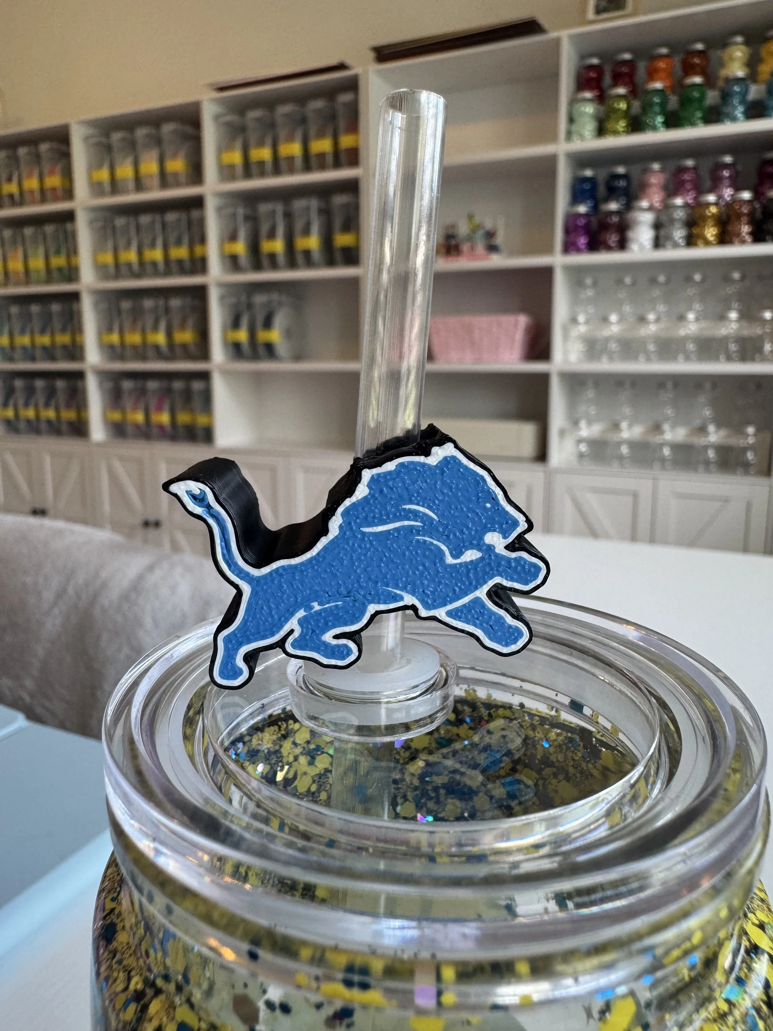 DETROIT LIONS