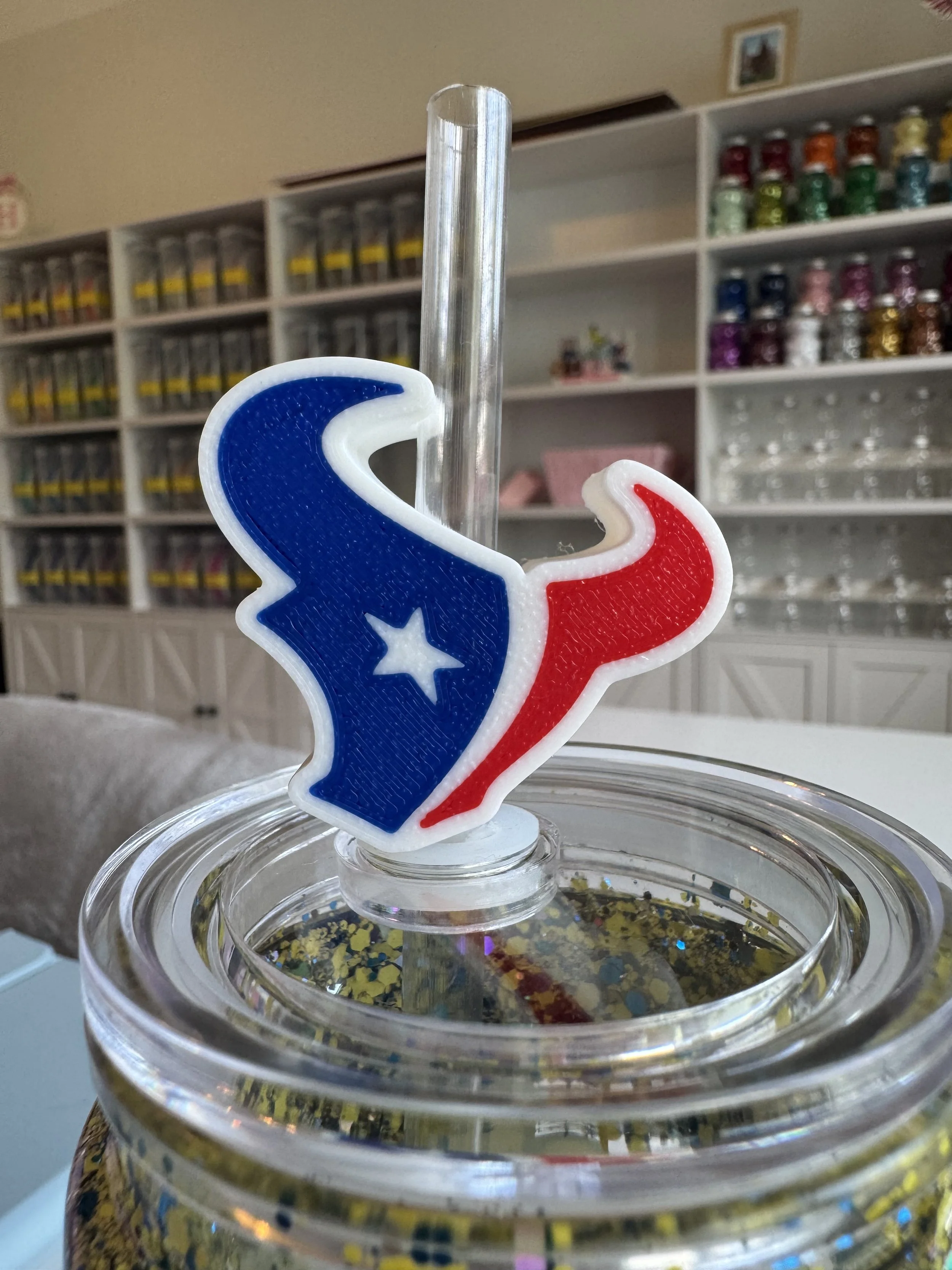 HOUSTON TEXANS