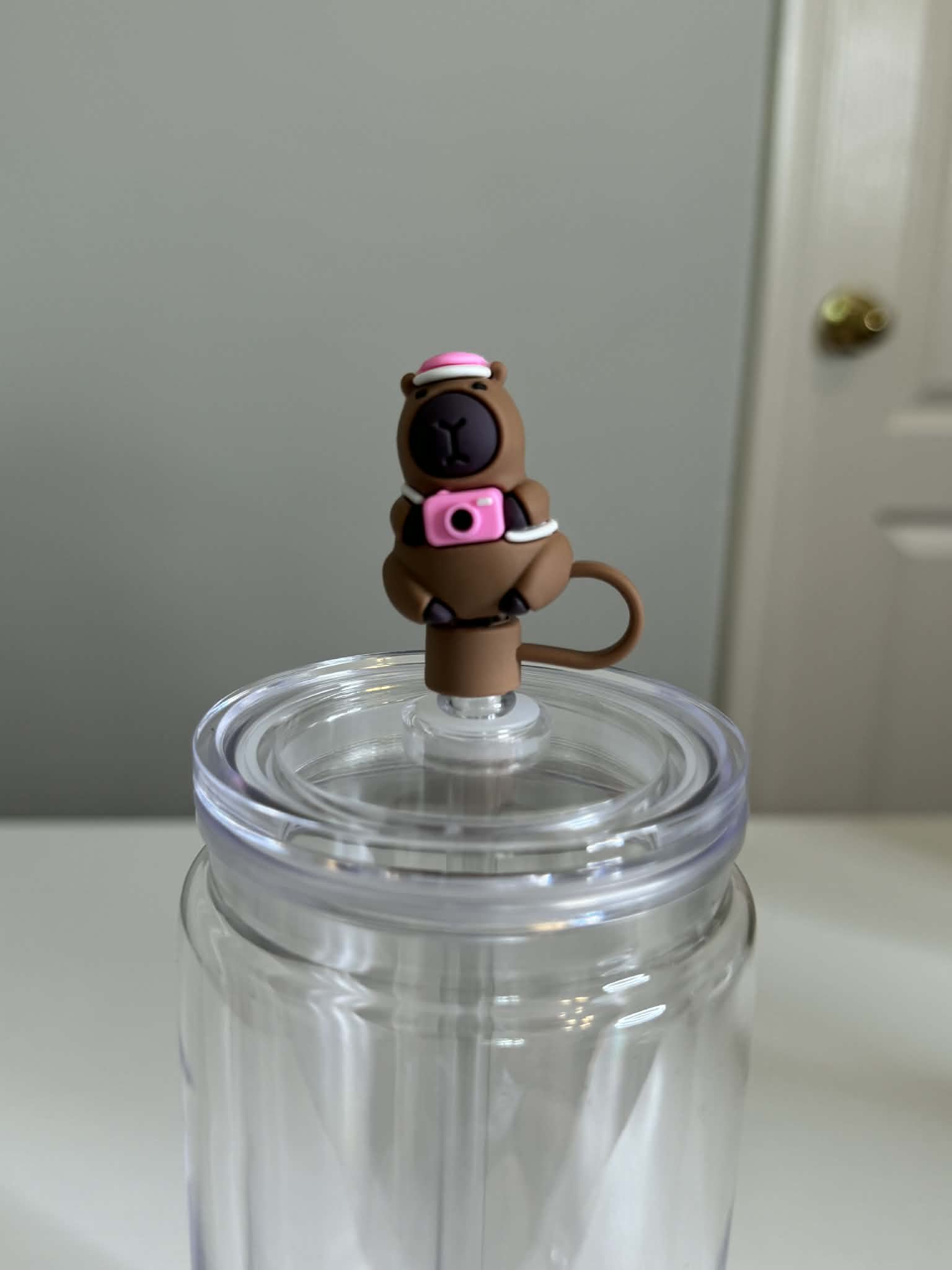 Capybara #2