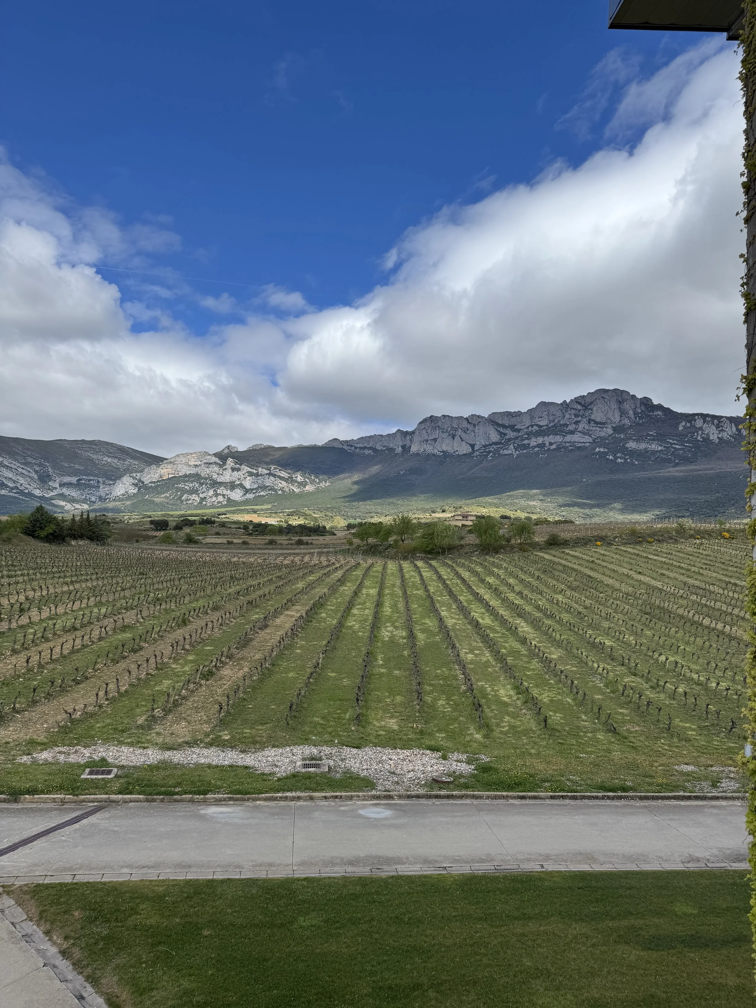 Spring in Rioja: From Mesa to Mountain, and the Quiet Authority of Place