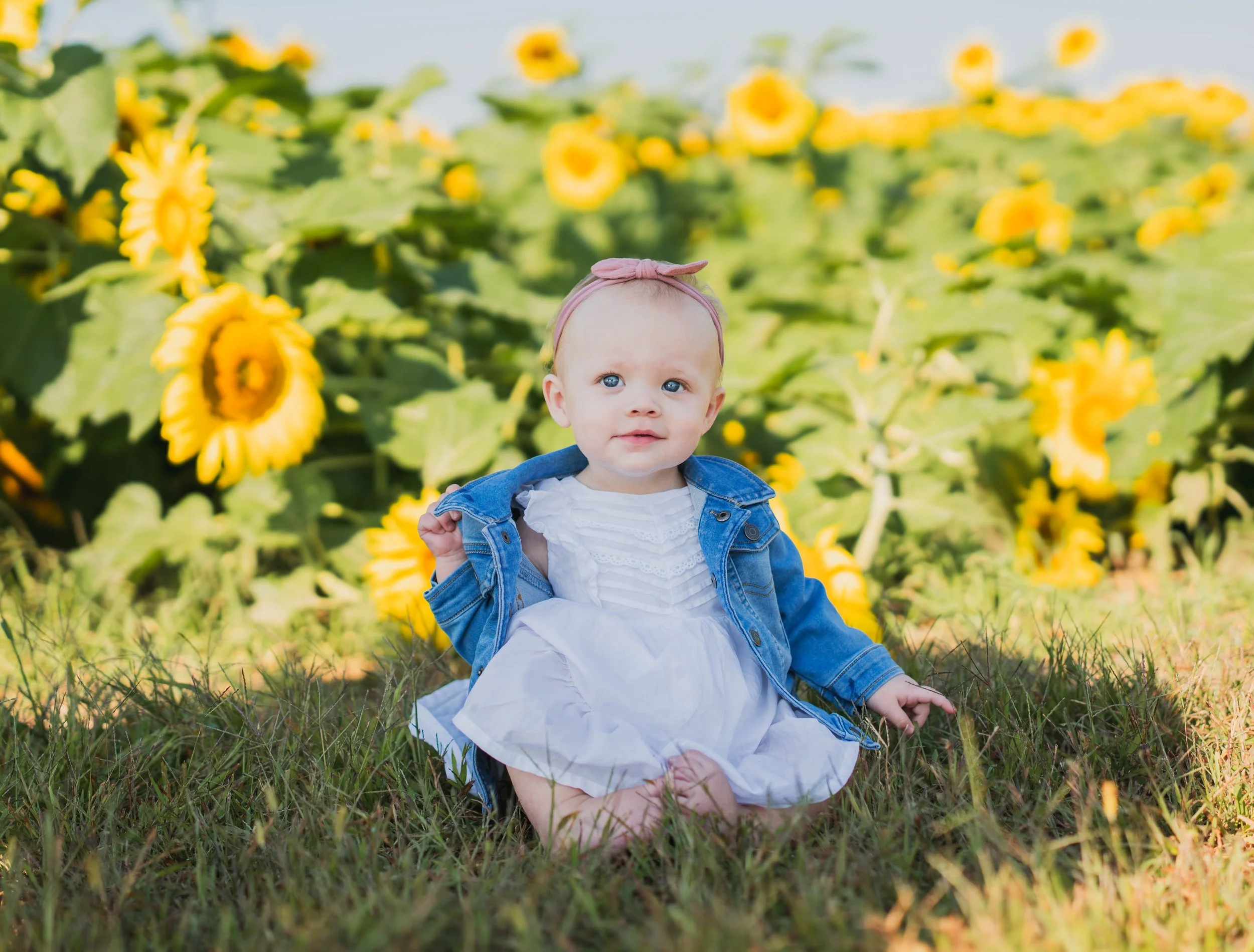 A young child sitting on grass in front of a sunflower field, wearing a white dress, denim jacket, and pink headband.