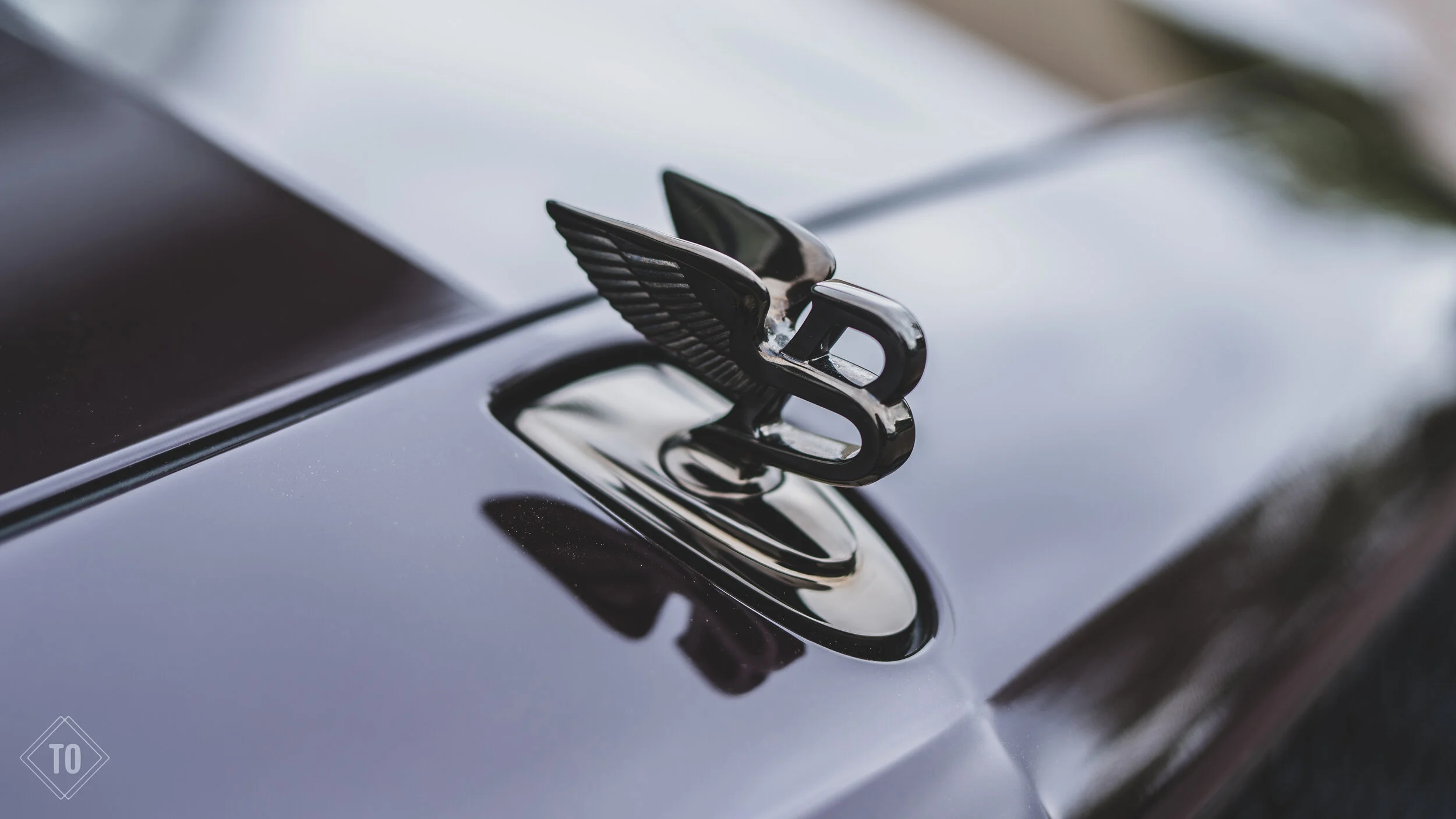 Close-up of a vintage car hood ornament depicting a stylized bird with wings extended, mounted on a shiny black car surface.