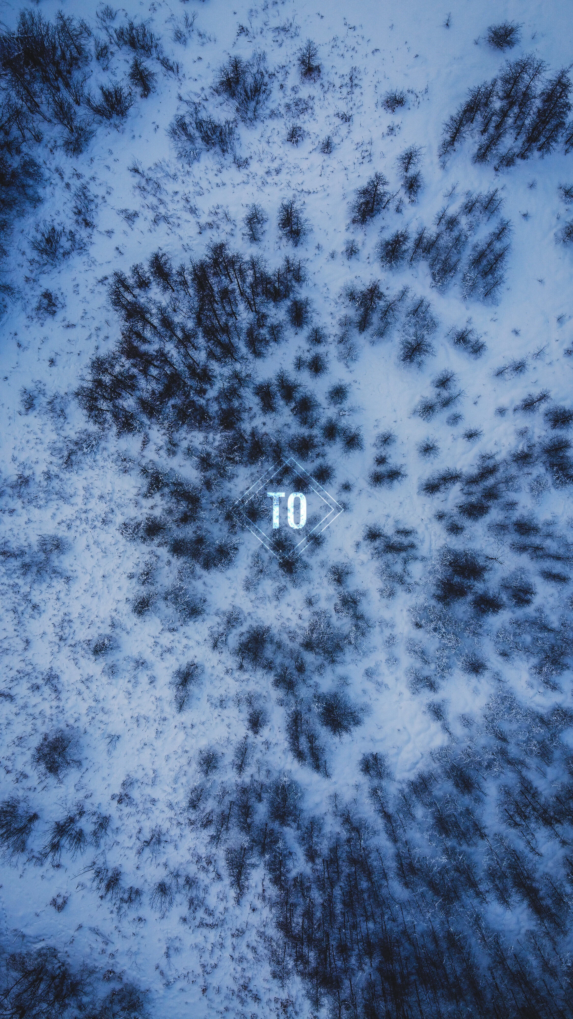 Bird's eye view of a snowy forest with leafless trees, and the word 'TO' illuminated in the center.