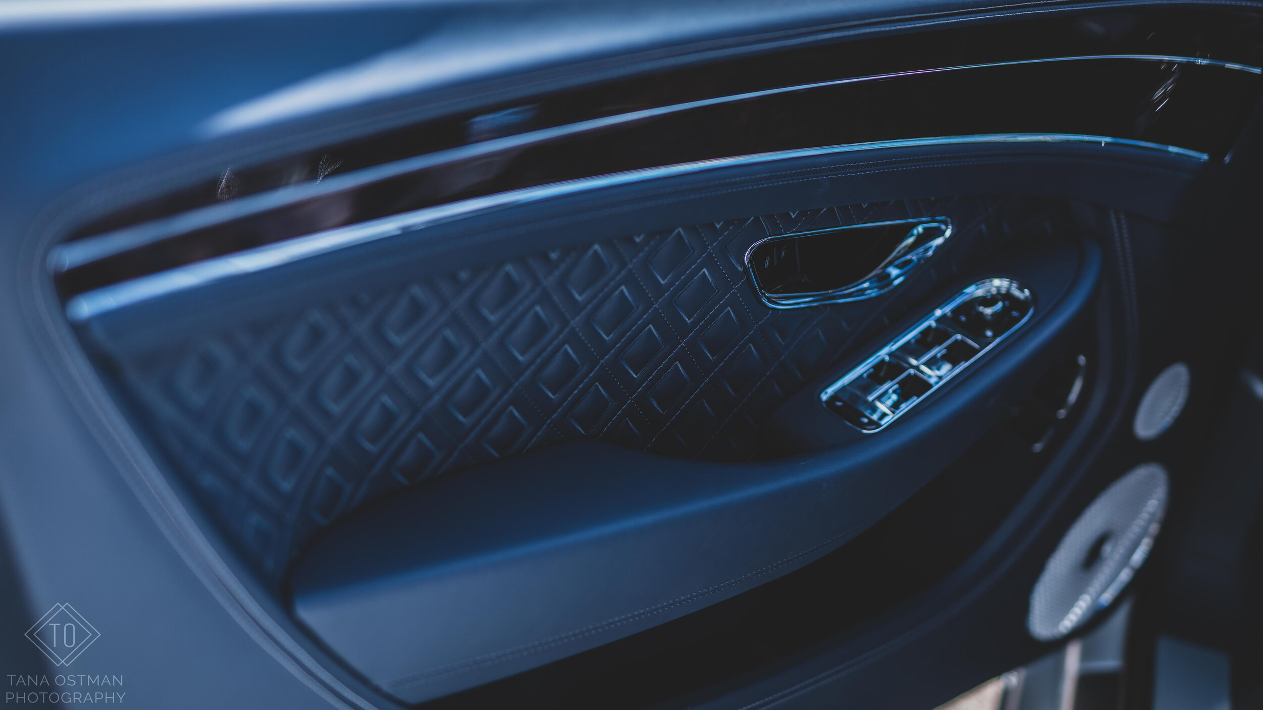 Close-up of a luxury car interior door panel with metallic and leather details.
