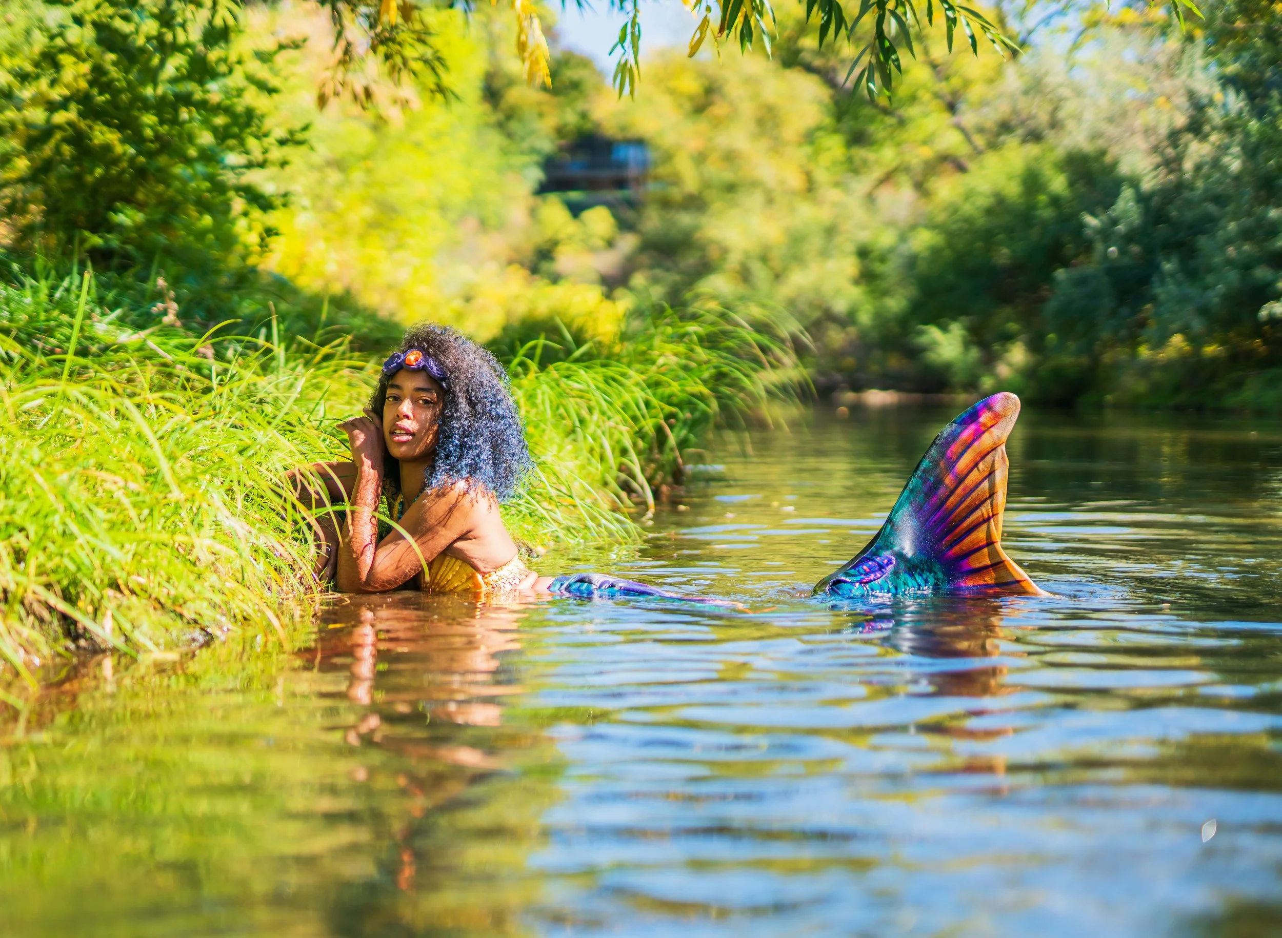 A mermaid with curly black and blue hair reclining on a riverbank surrounded by tall green grass, with her tail submerged in the water, in a lush outdoor setting with trees and sunlight.