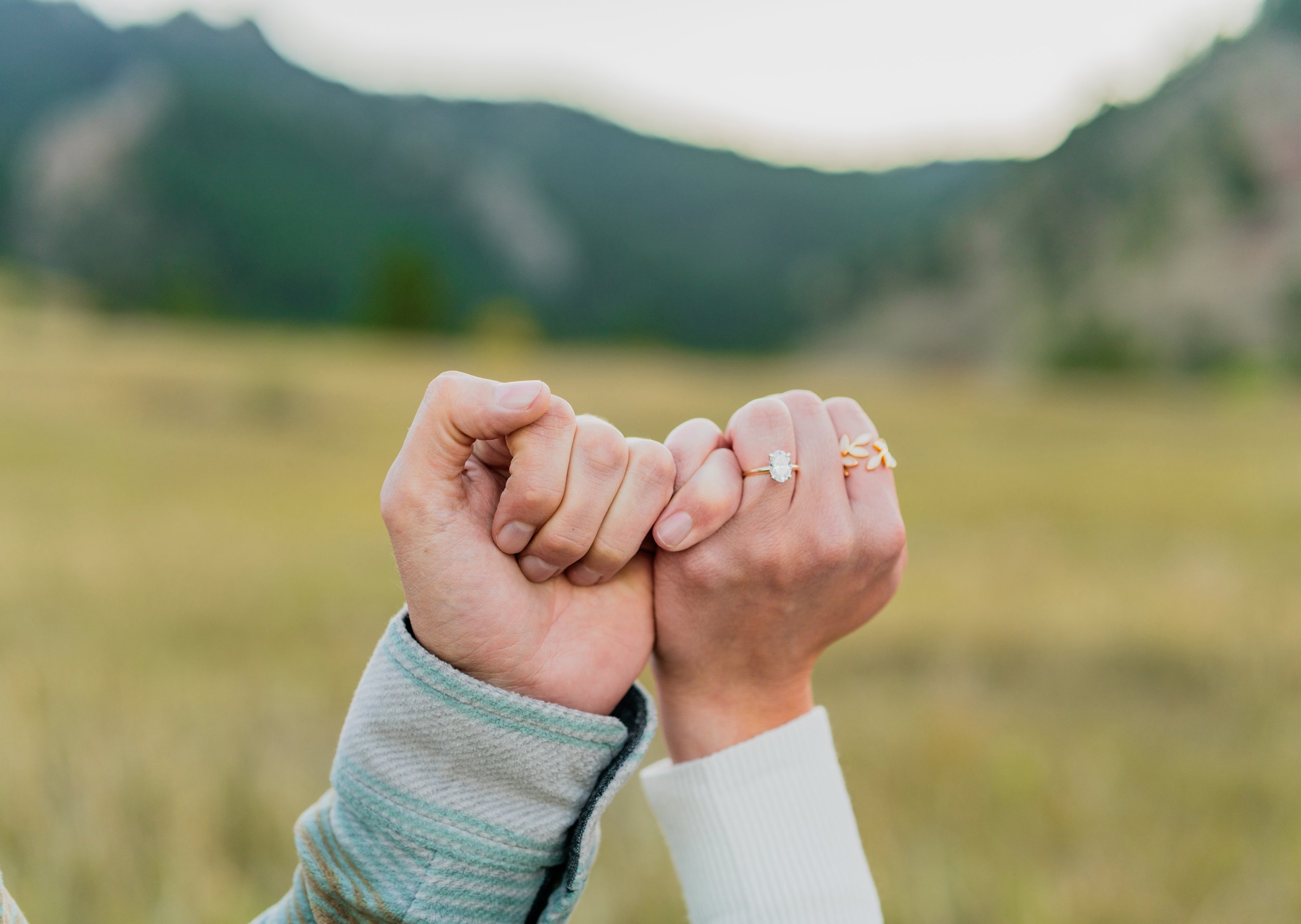Two hands with rings intertwined, one with a diamond engagement ring and the other with a gold leaf ring, against a blurred natural landscape background.
