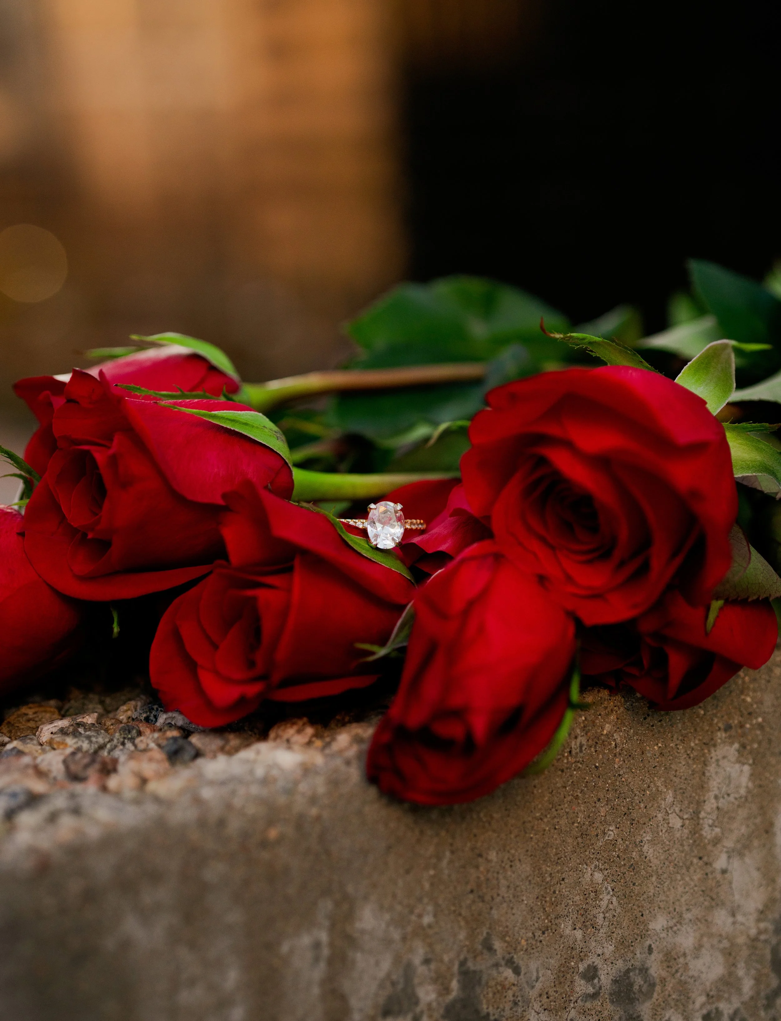 A close-up of red roses with a diamond ring resting on one of the petals.