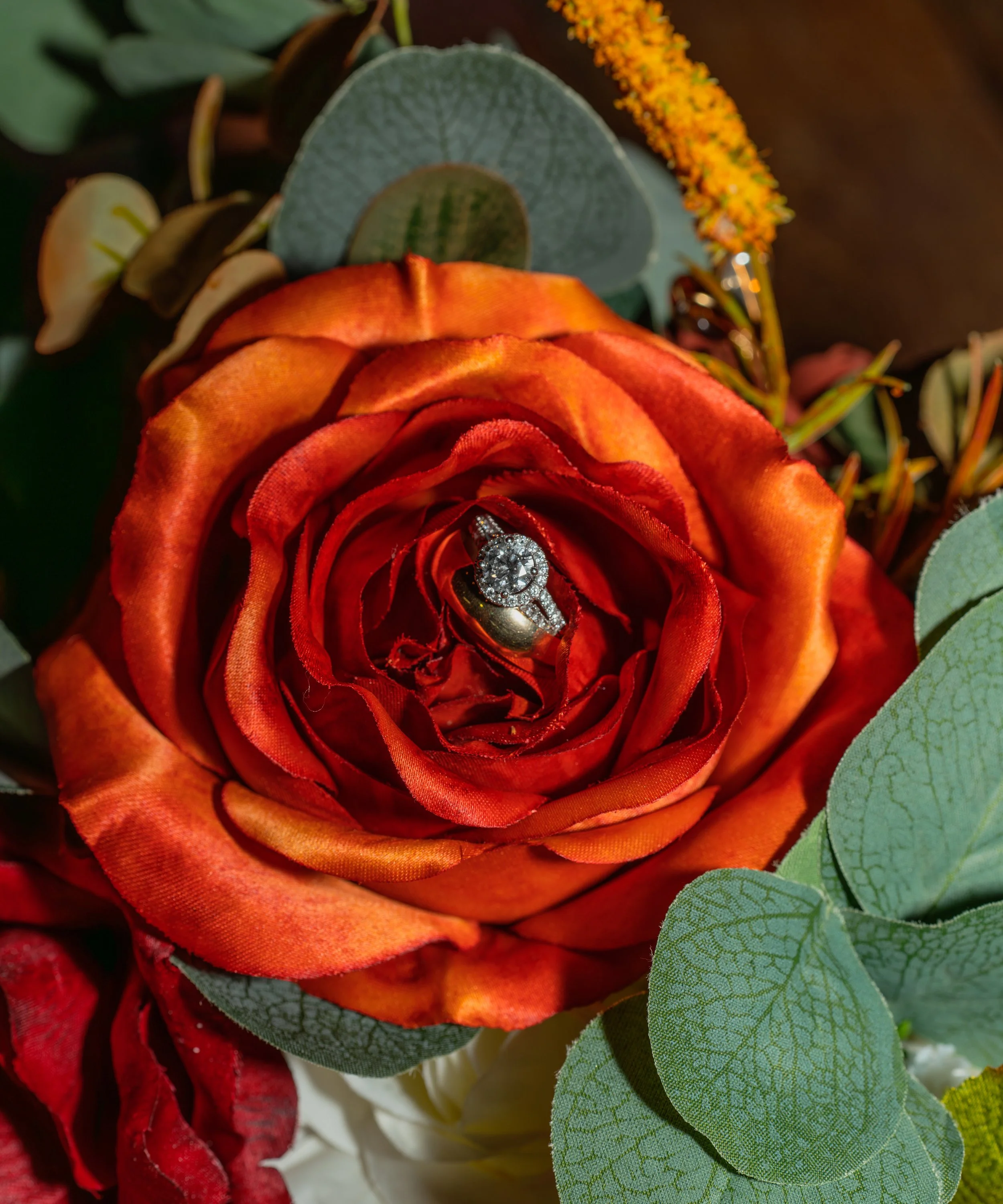 Elana+Chance-1 copy.jpg