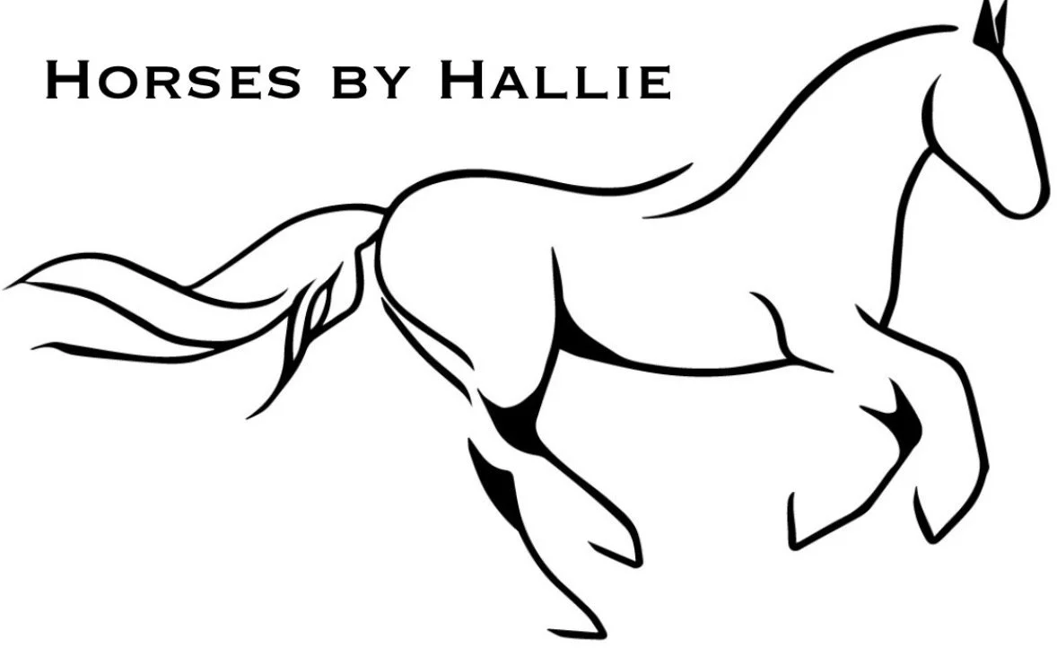 Horses By Hallie