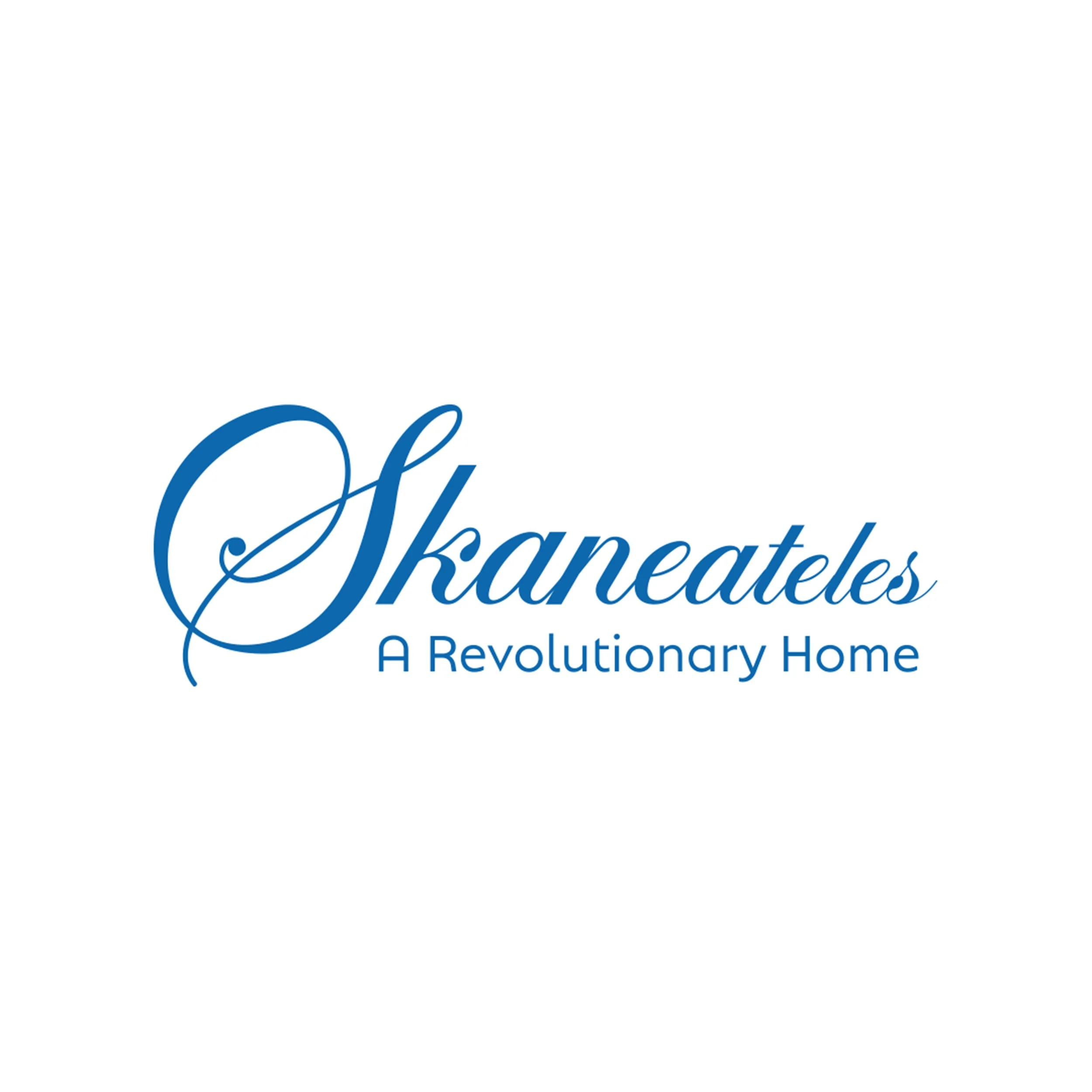 Skaneateles City Rebrand
