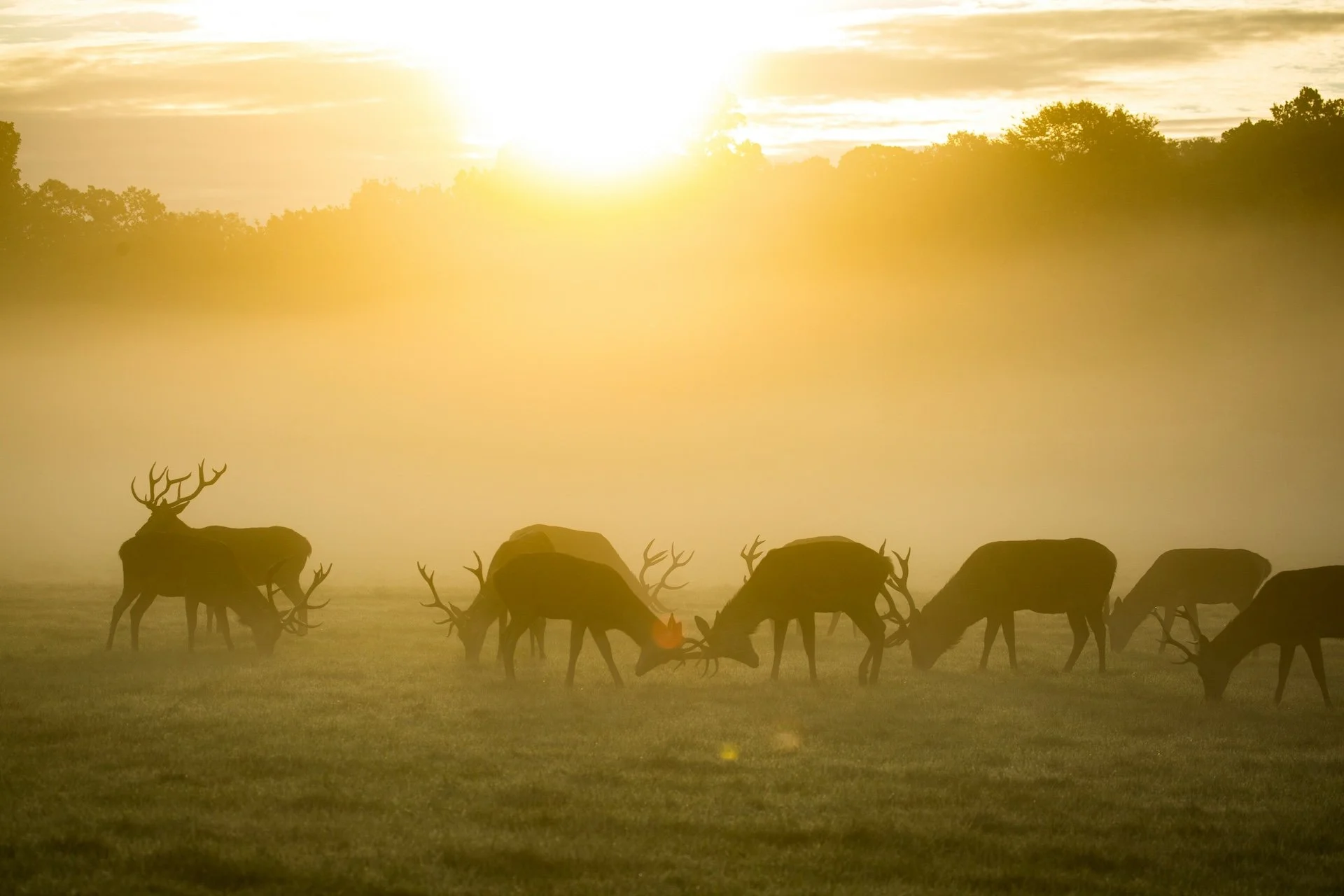 Why Conservation Must Pay for Itself